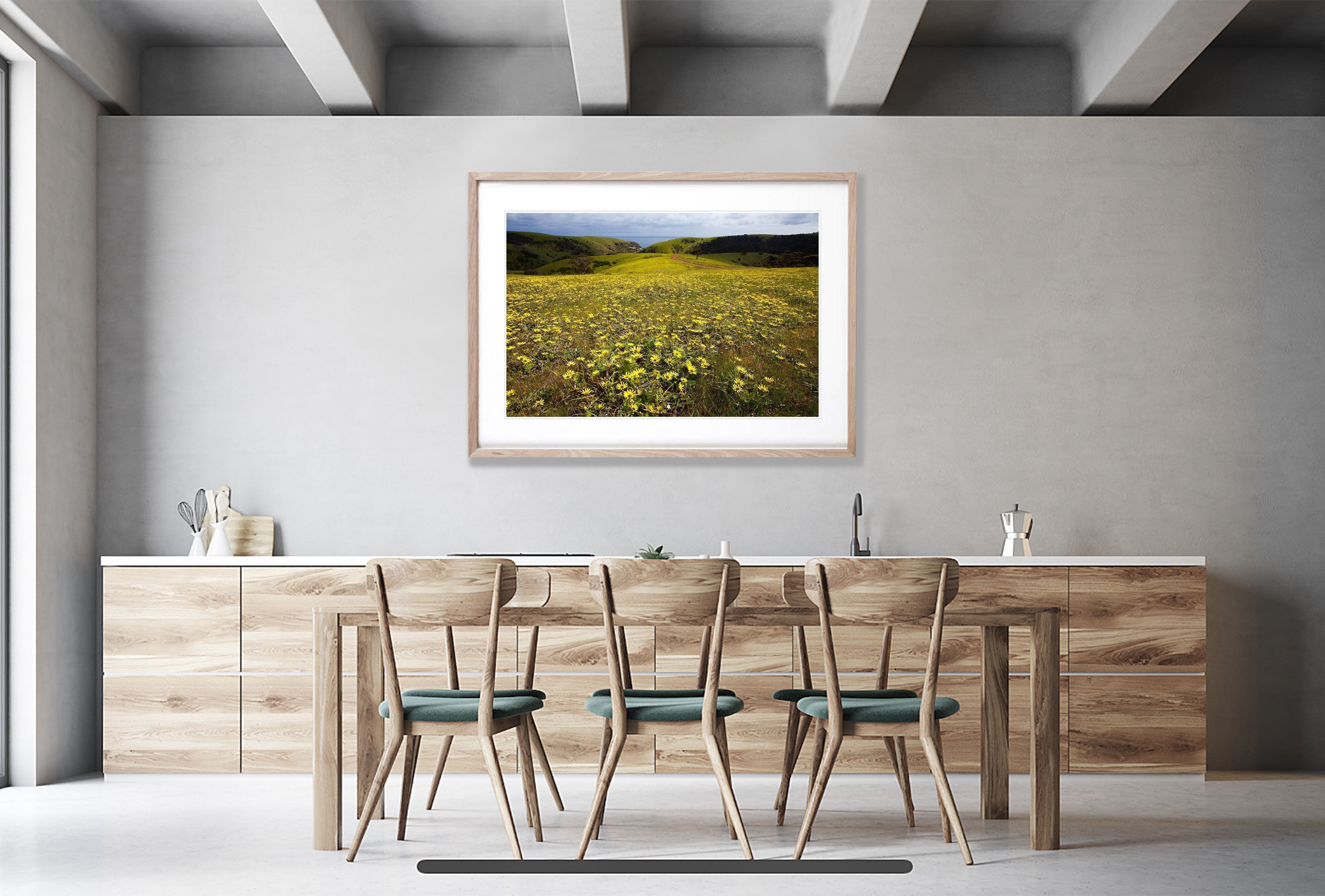 Spring Flowers, Kangaroo Island, South Australia