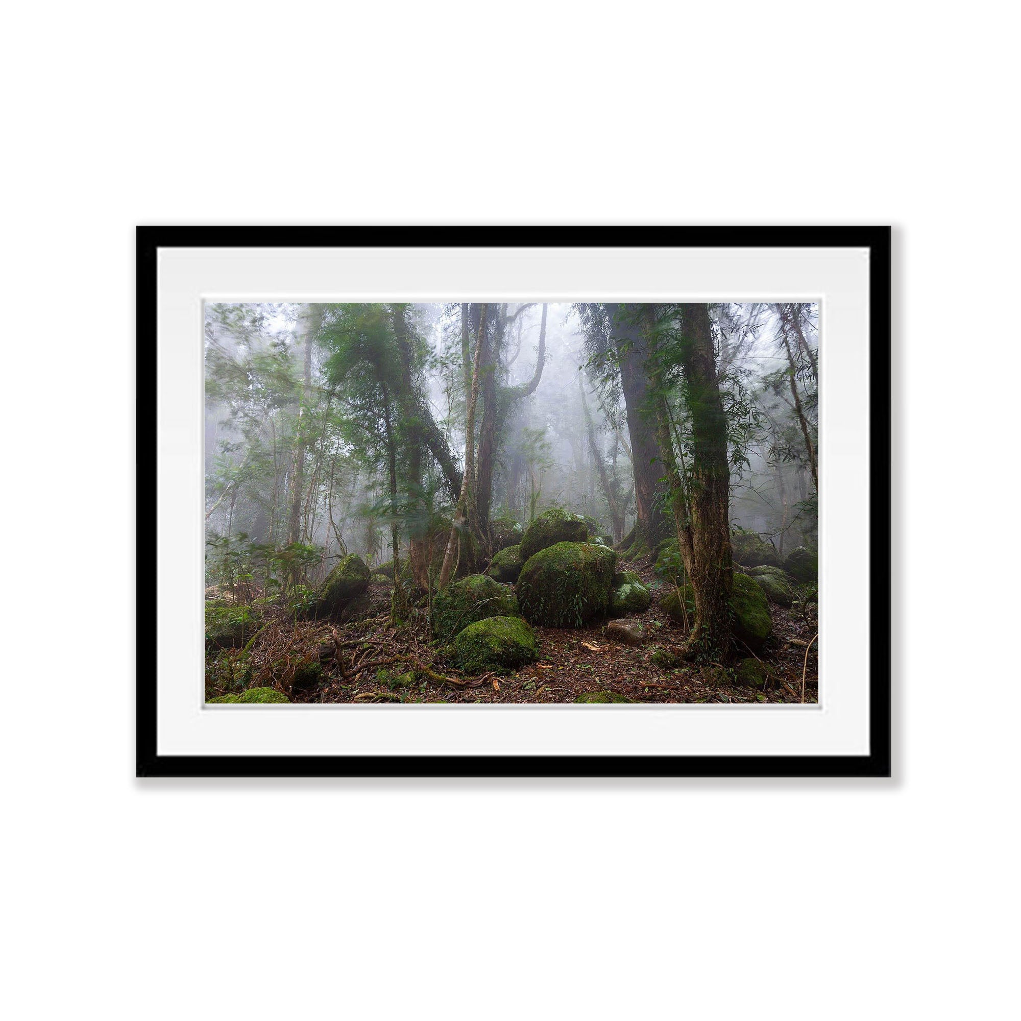 Springbrook Boulders - QLD