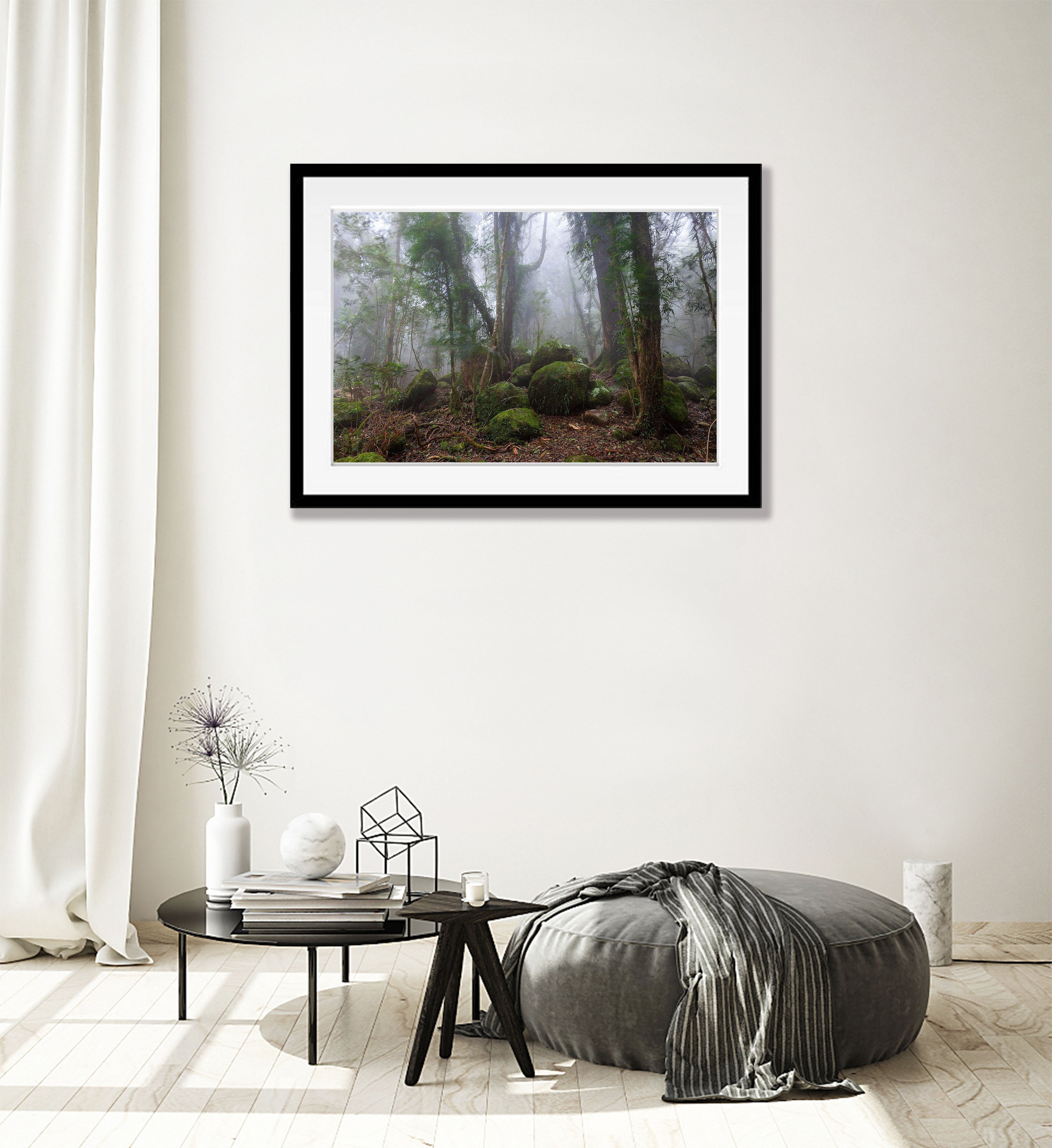 Springbrook Boulders - QLD