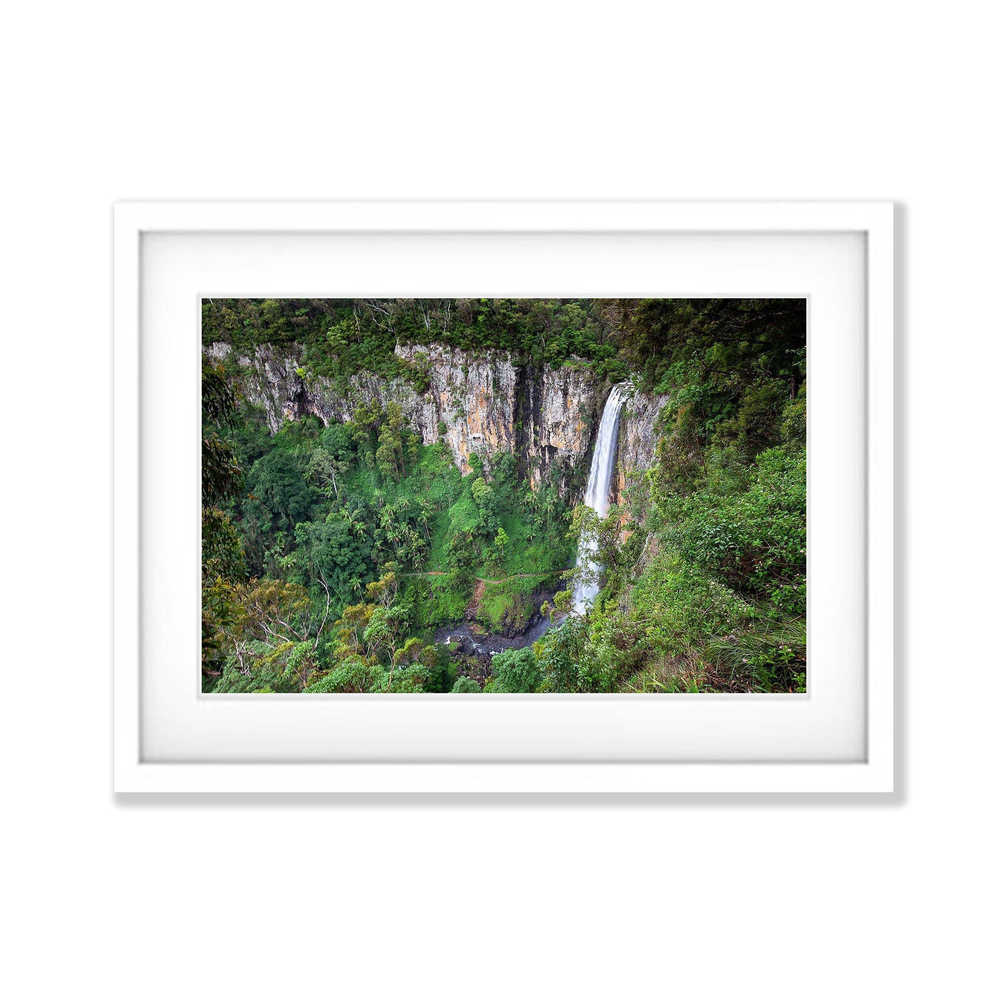Springbrook Falls - QLD