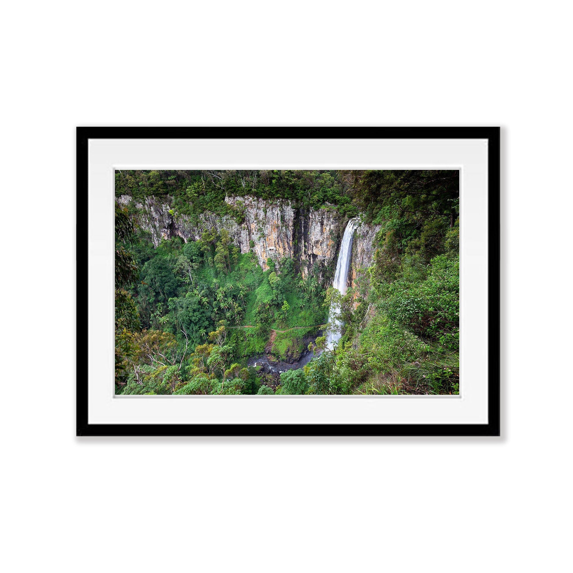 Springbrook Falls - QLD