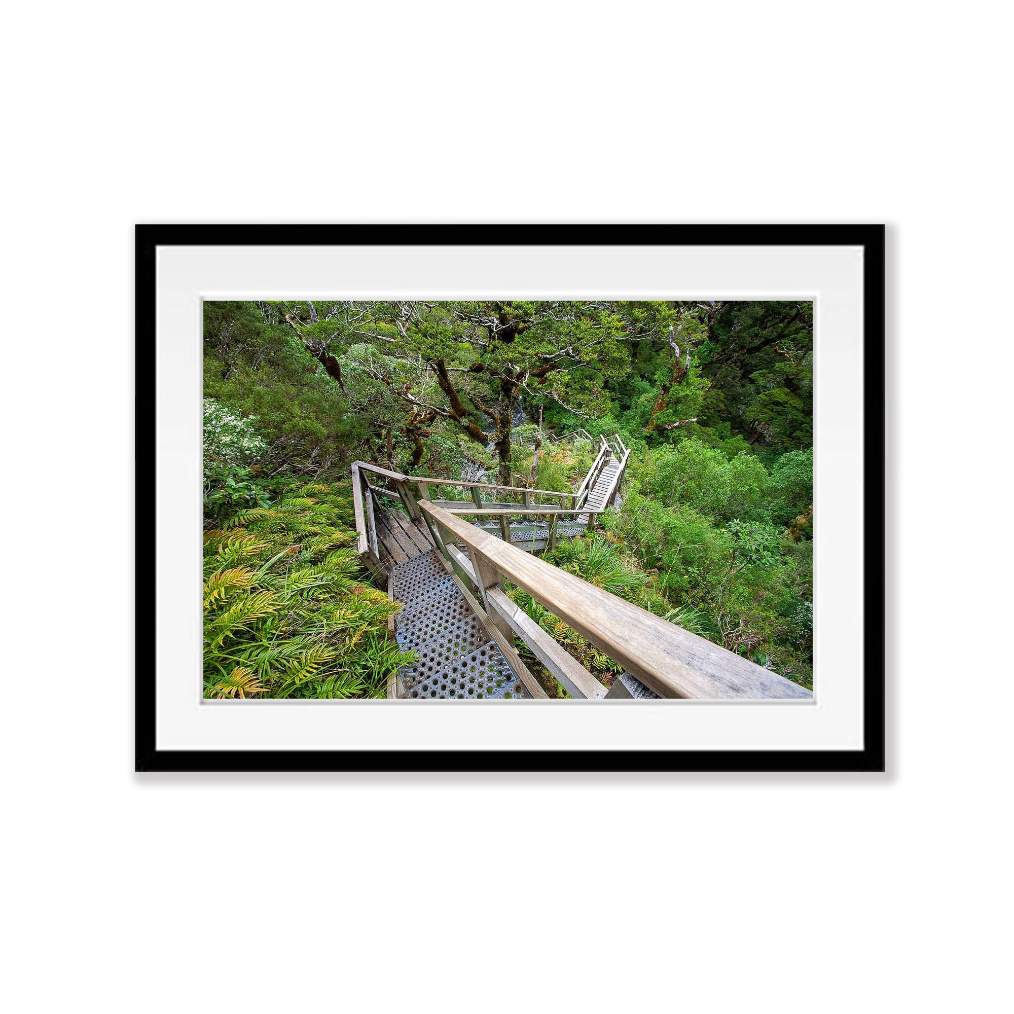 Staircase, Milford Track - New Zealand