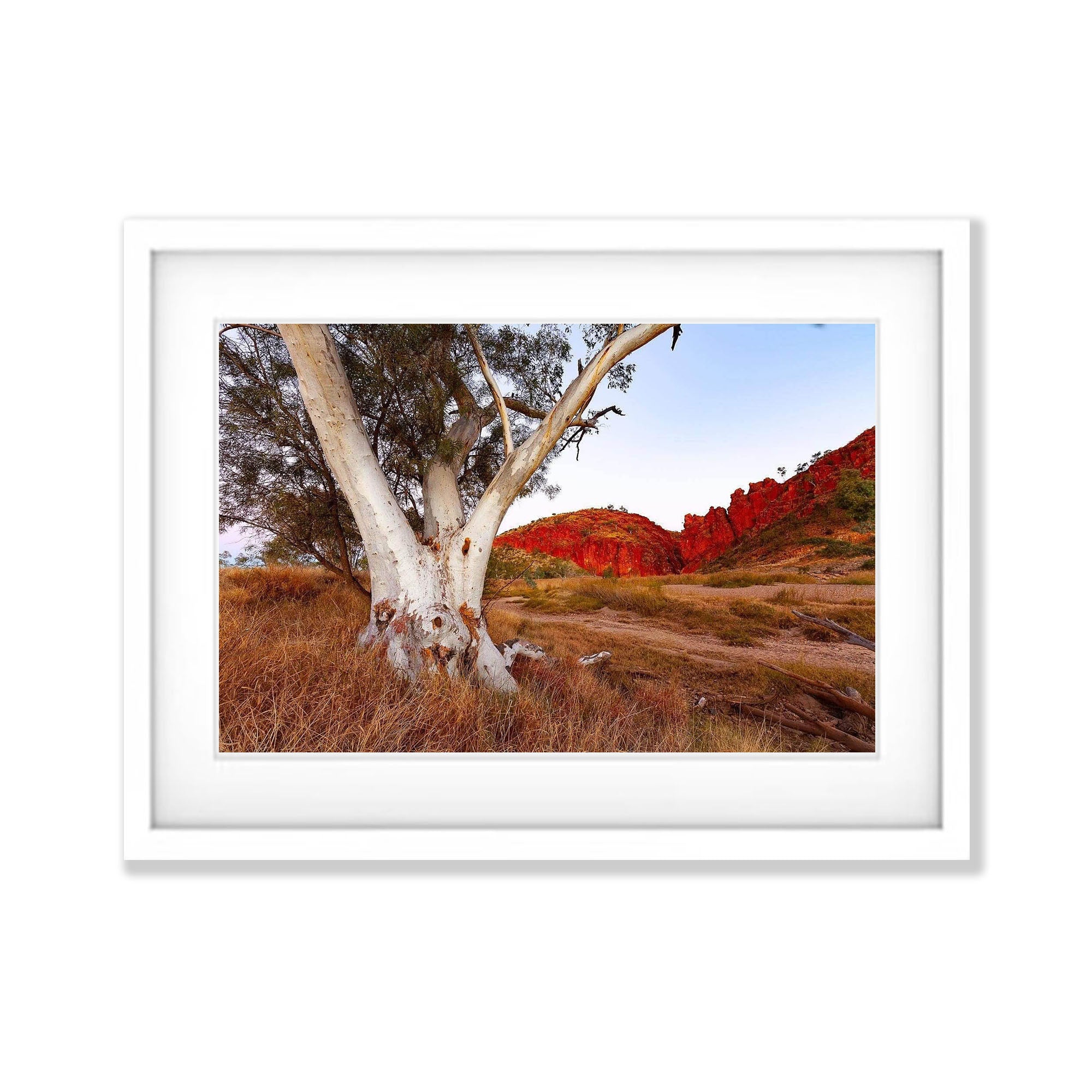 Standing Alone - West Macdonnell Ranges, NT