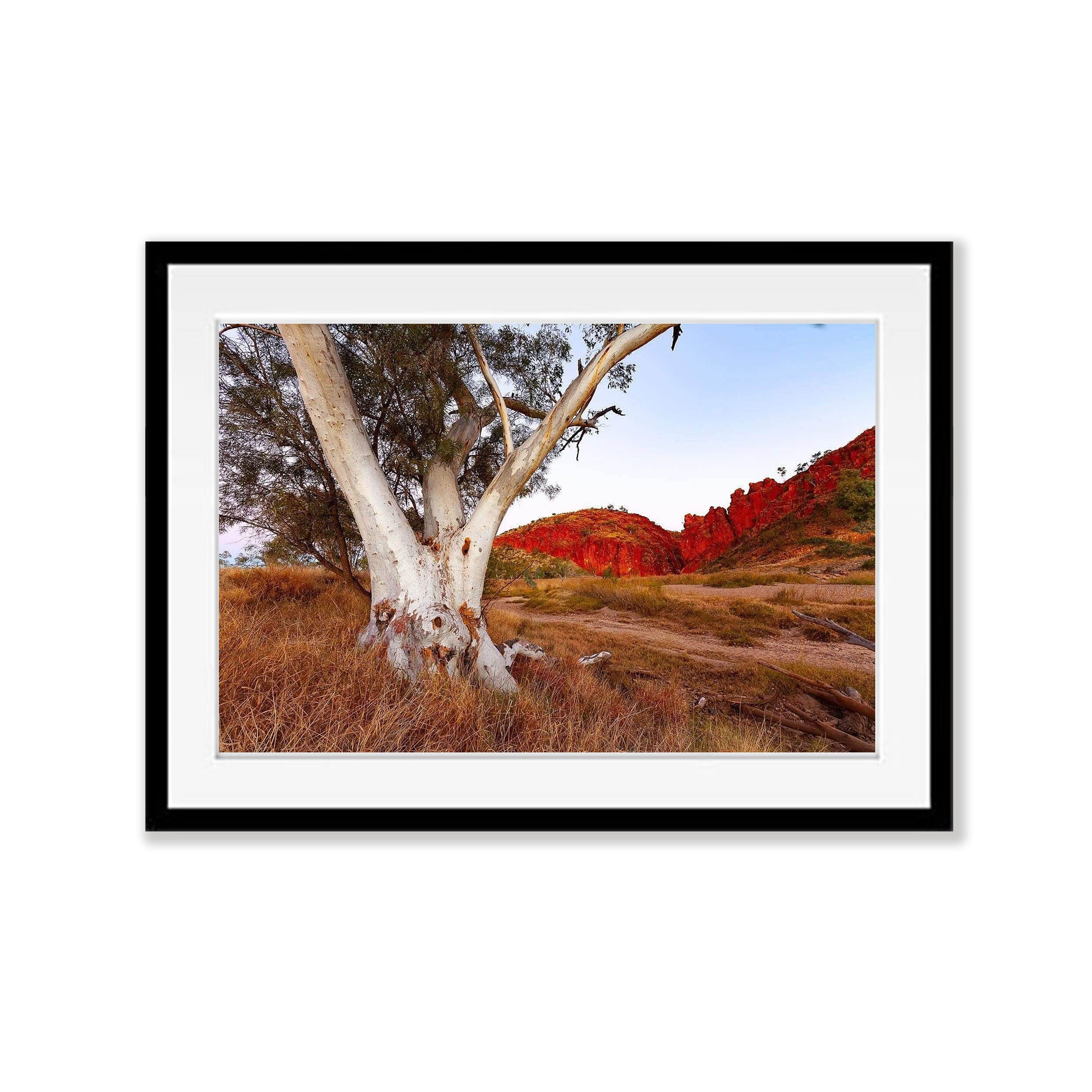 Standing Alone - West Macdonnell Ranges, NT