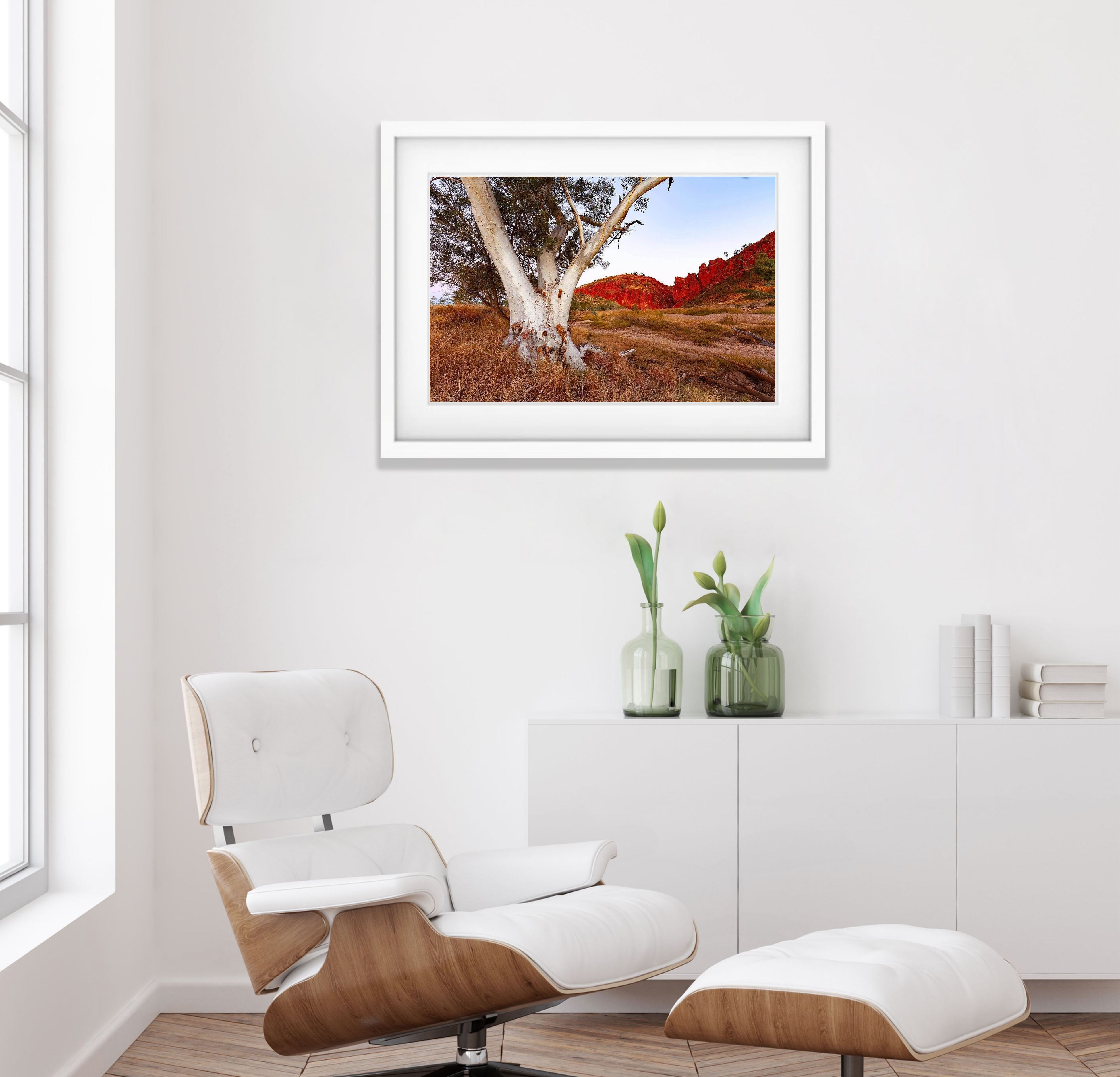 Standing Alone - West Macdonnell Ranges, NT