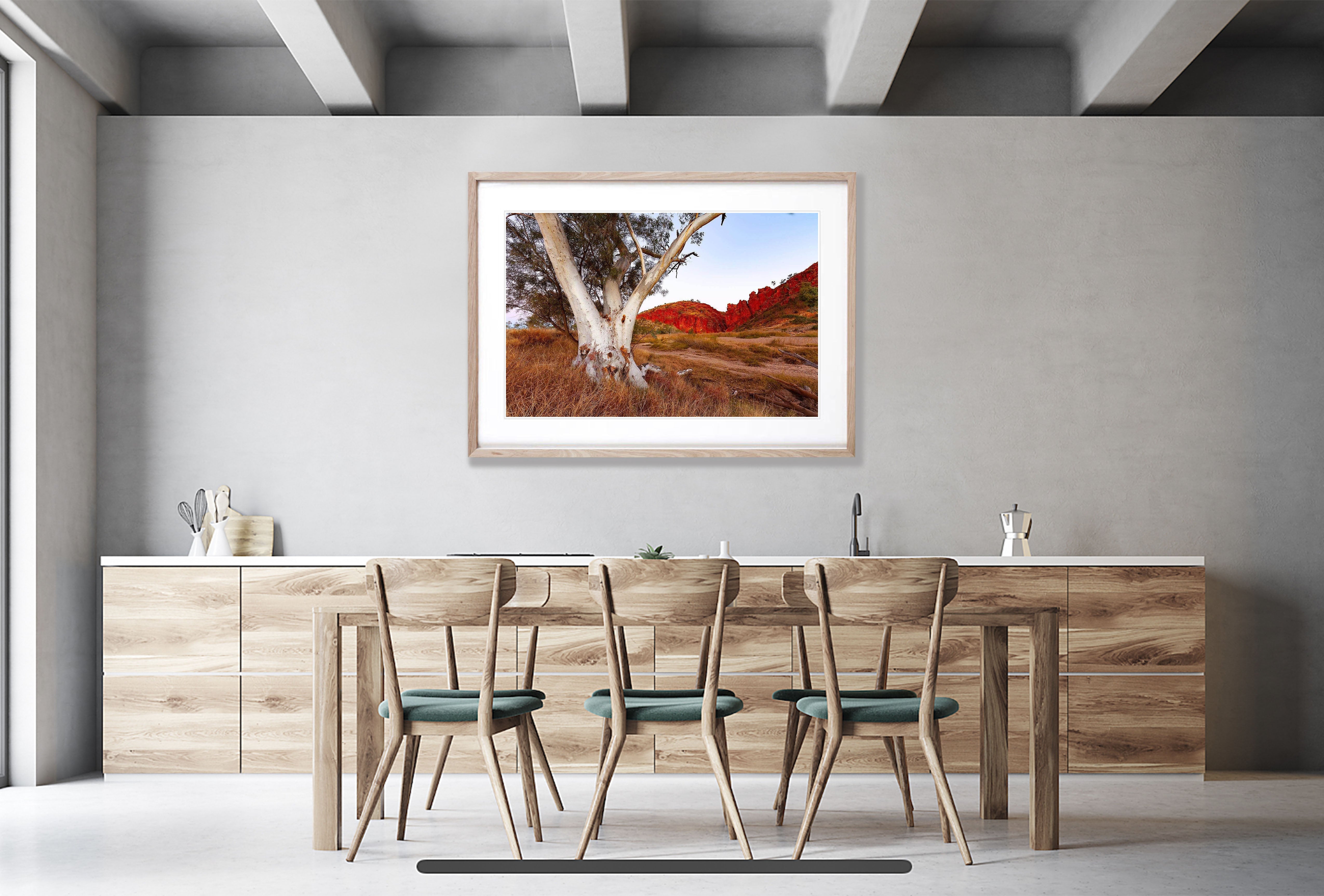 Standing Alone - West Macdonnell Ranges, NT