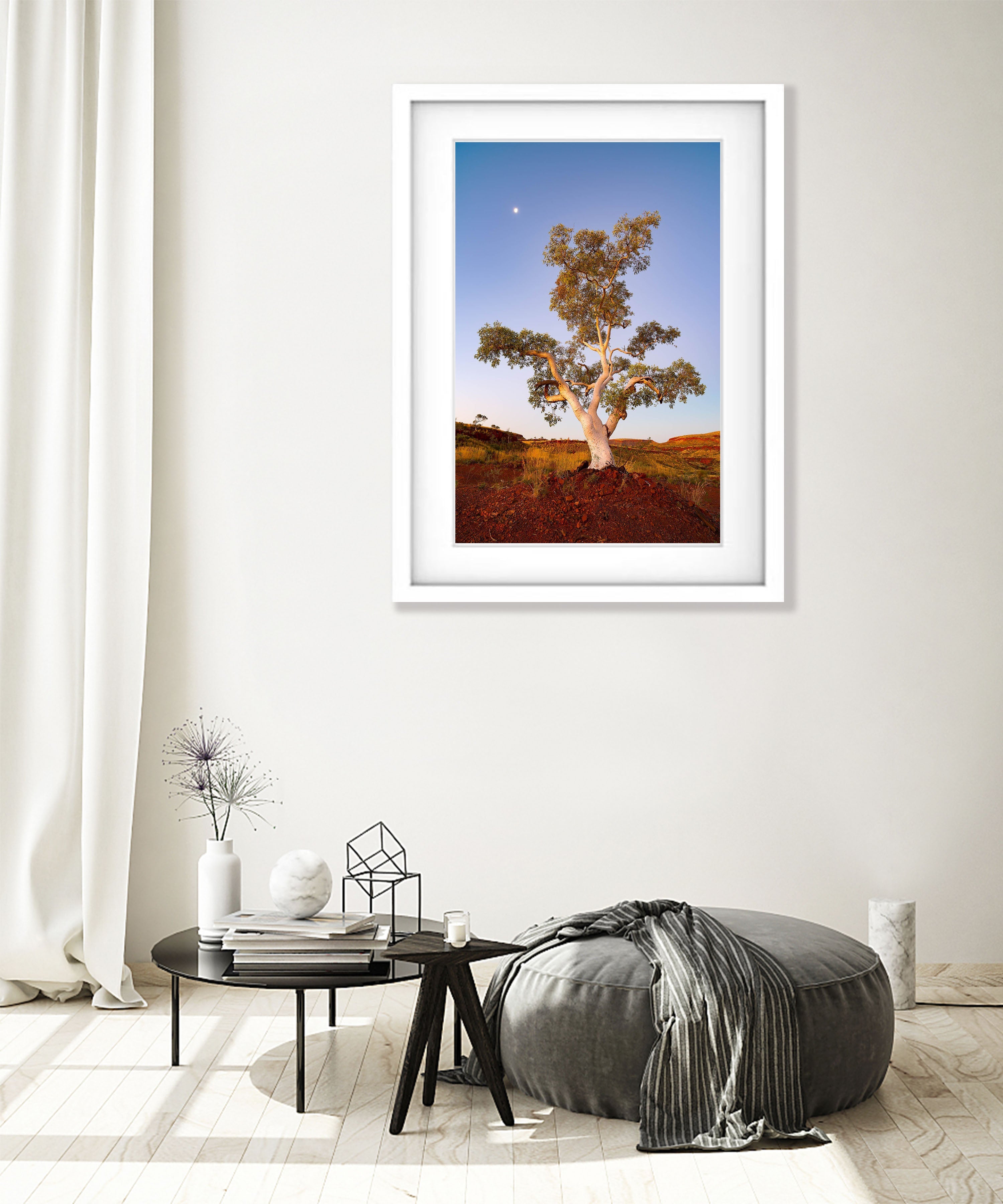Standing Proud, Snappy Gum, Karijini, The Pilbara