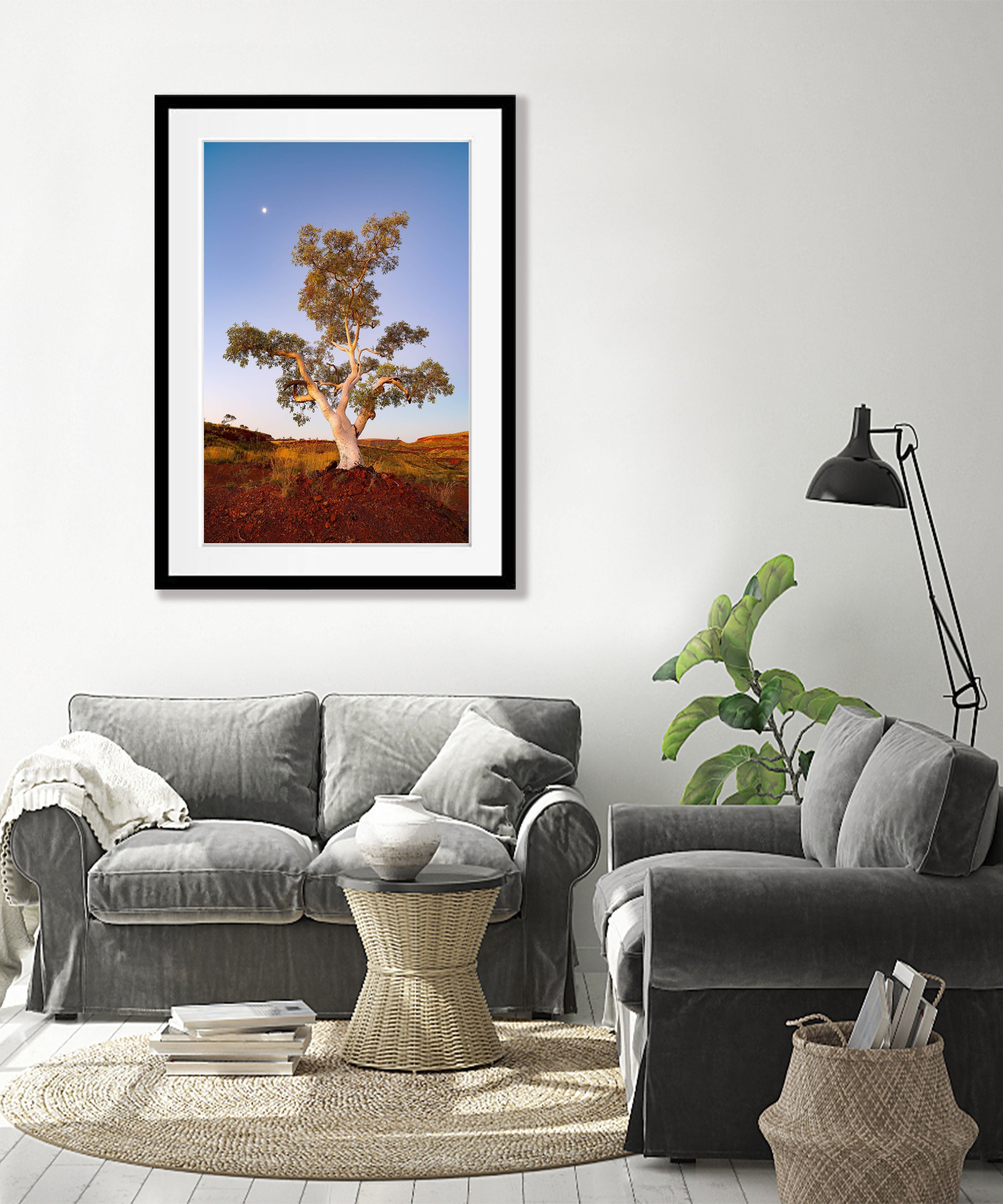 Standing Proud, Snappy Gum, Karijini, The Pilbara