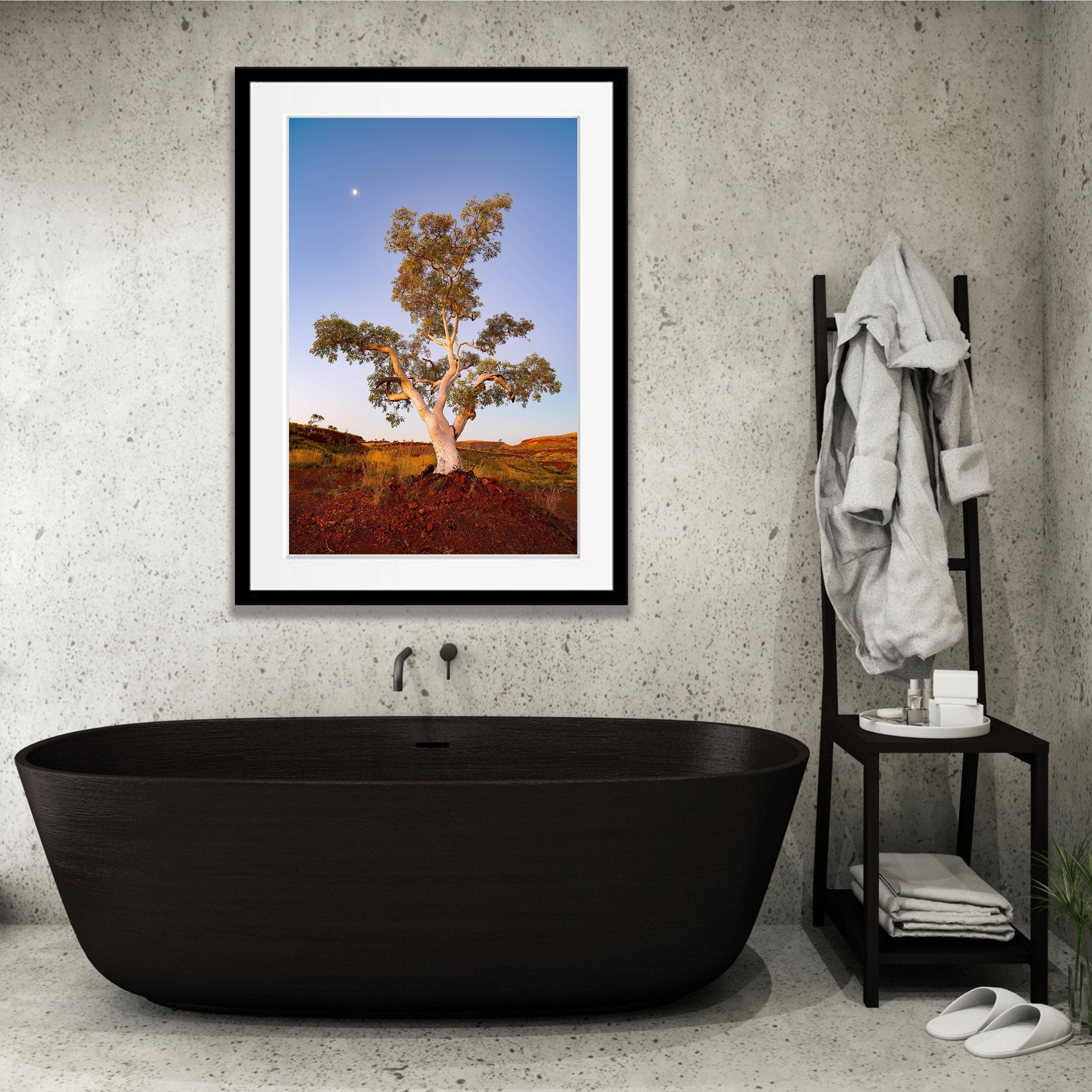 Standing Proud, Snappy Gum, Karijini, The Pilbara