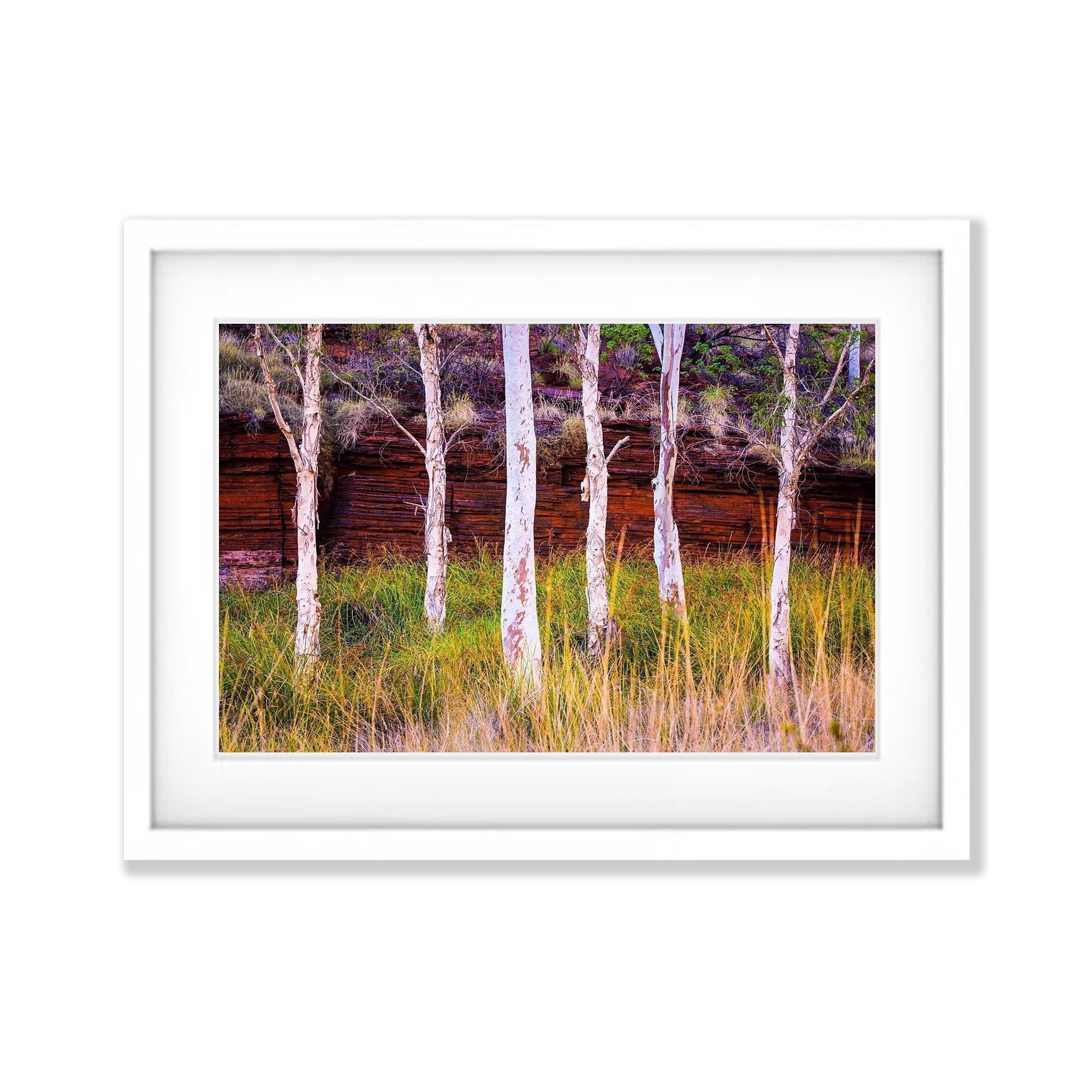Standing tall - Karijini, The Pilbara