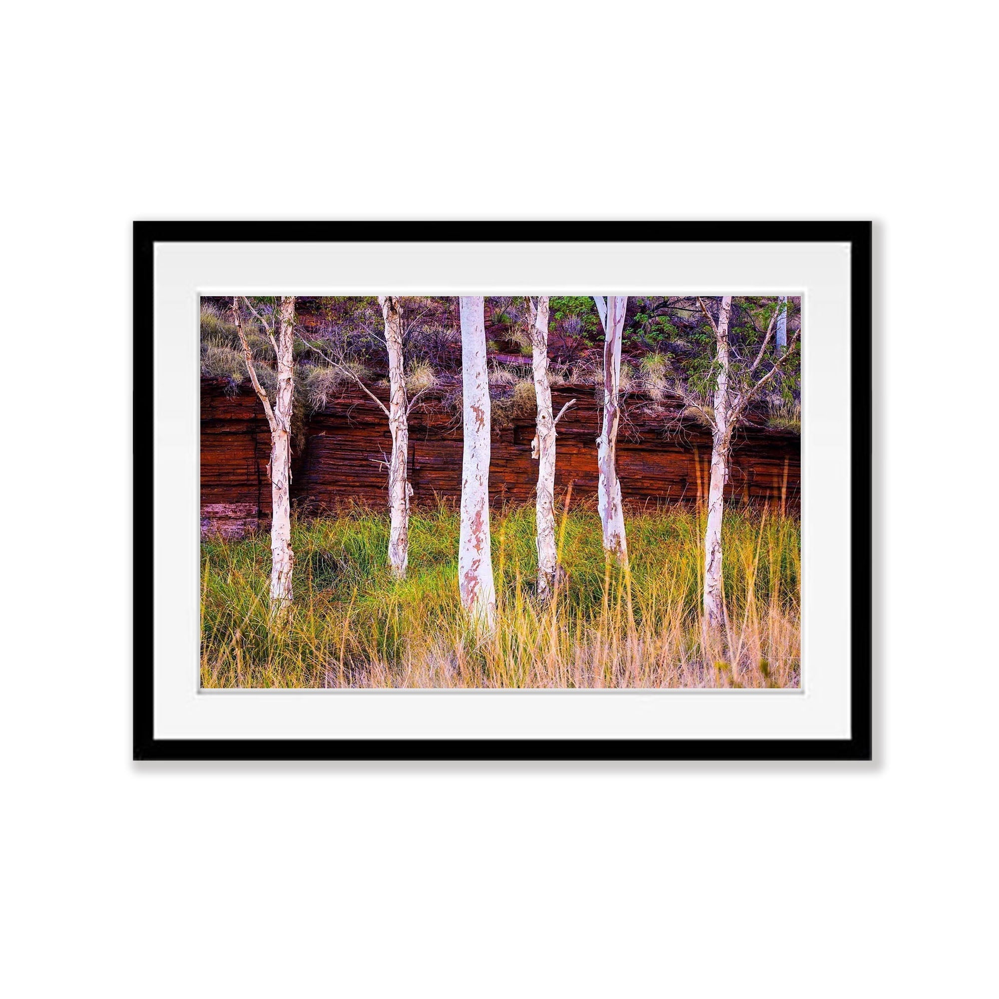 Standing tall - Karijini, The Pilbara