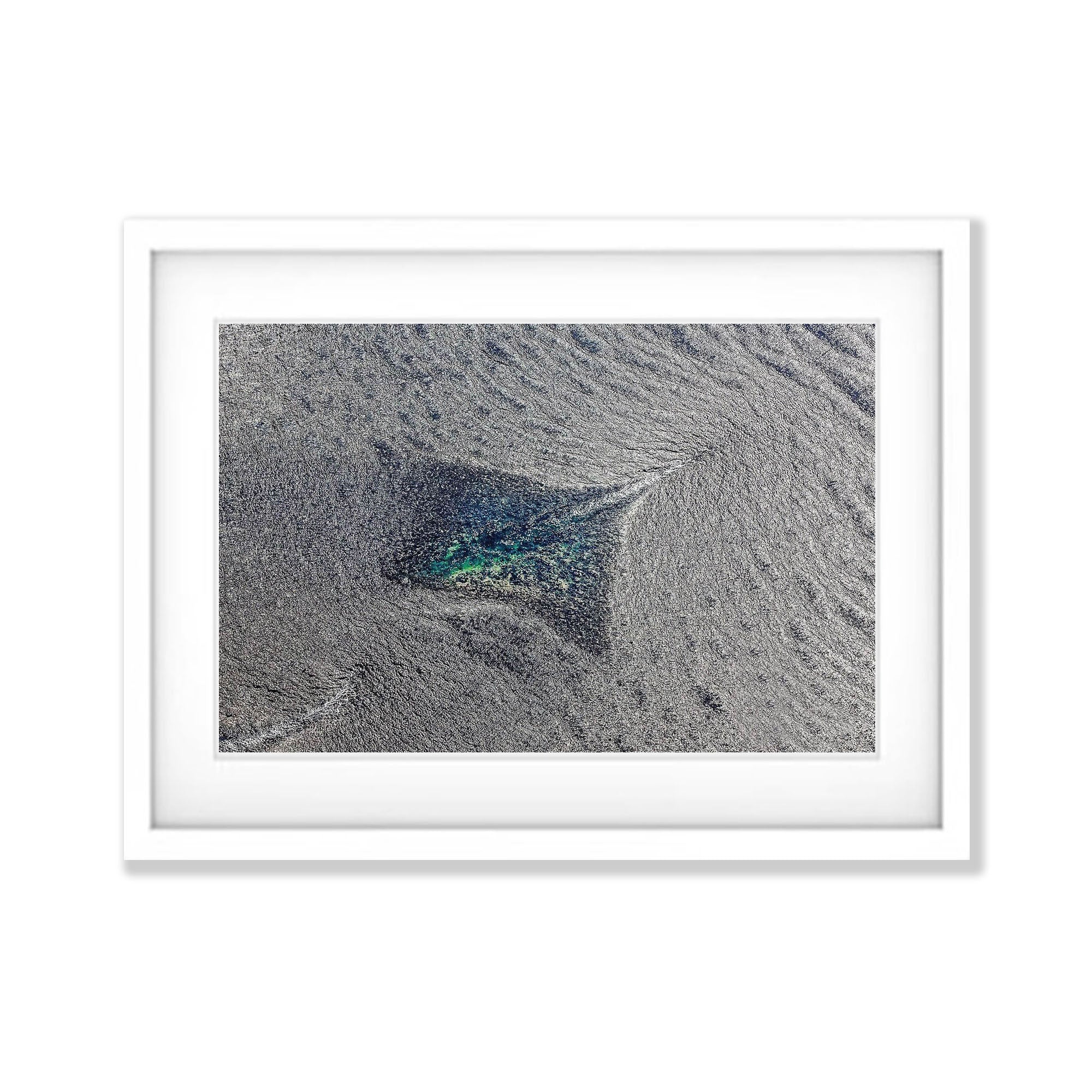Stingray