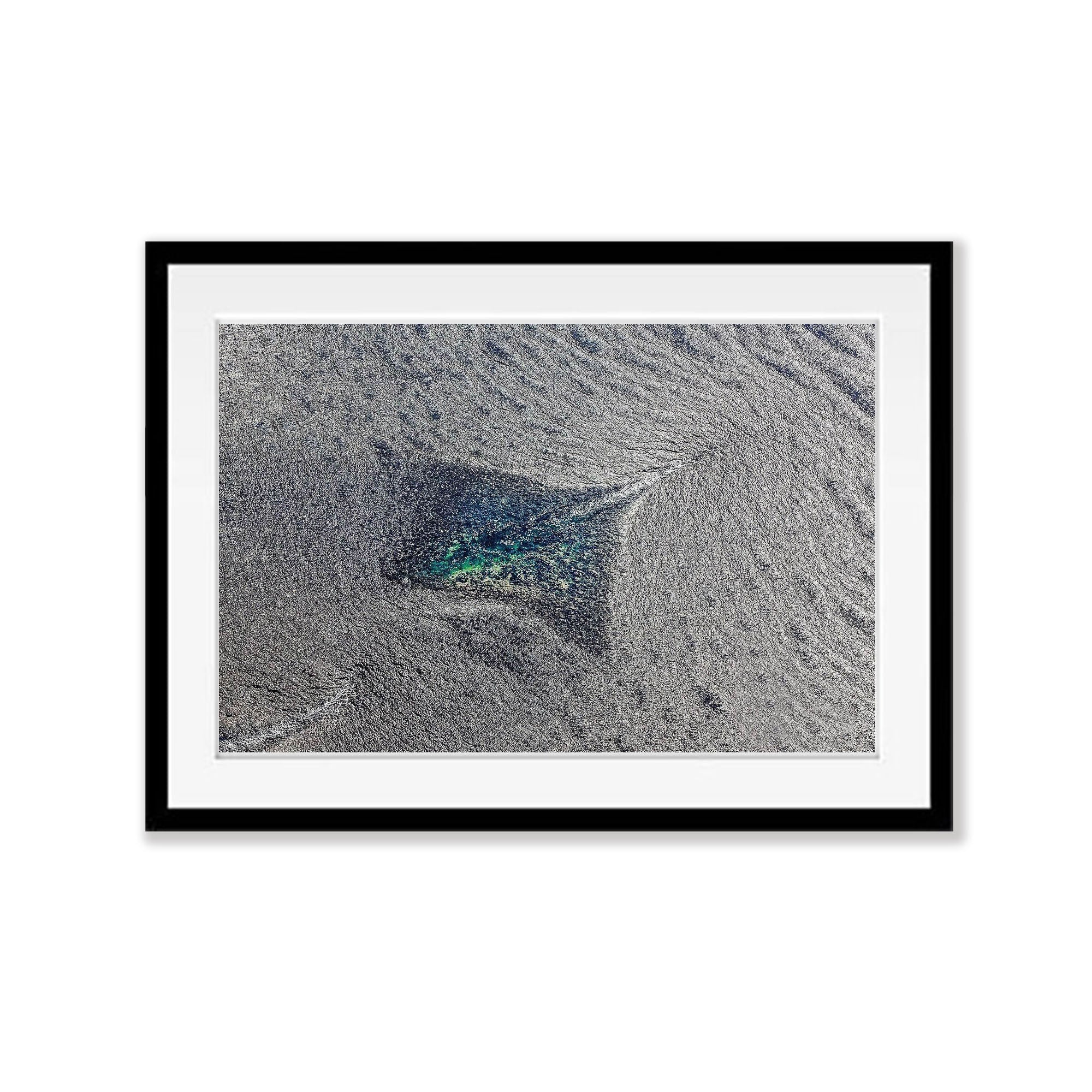 Stingray