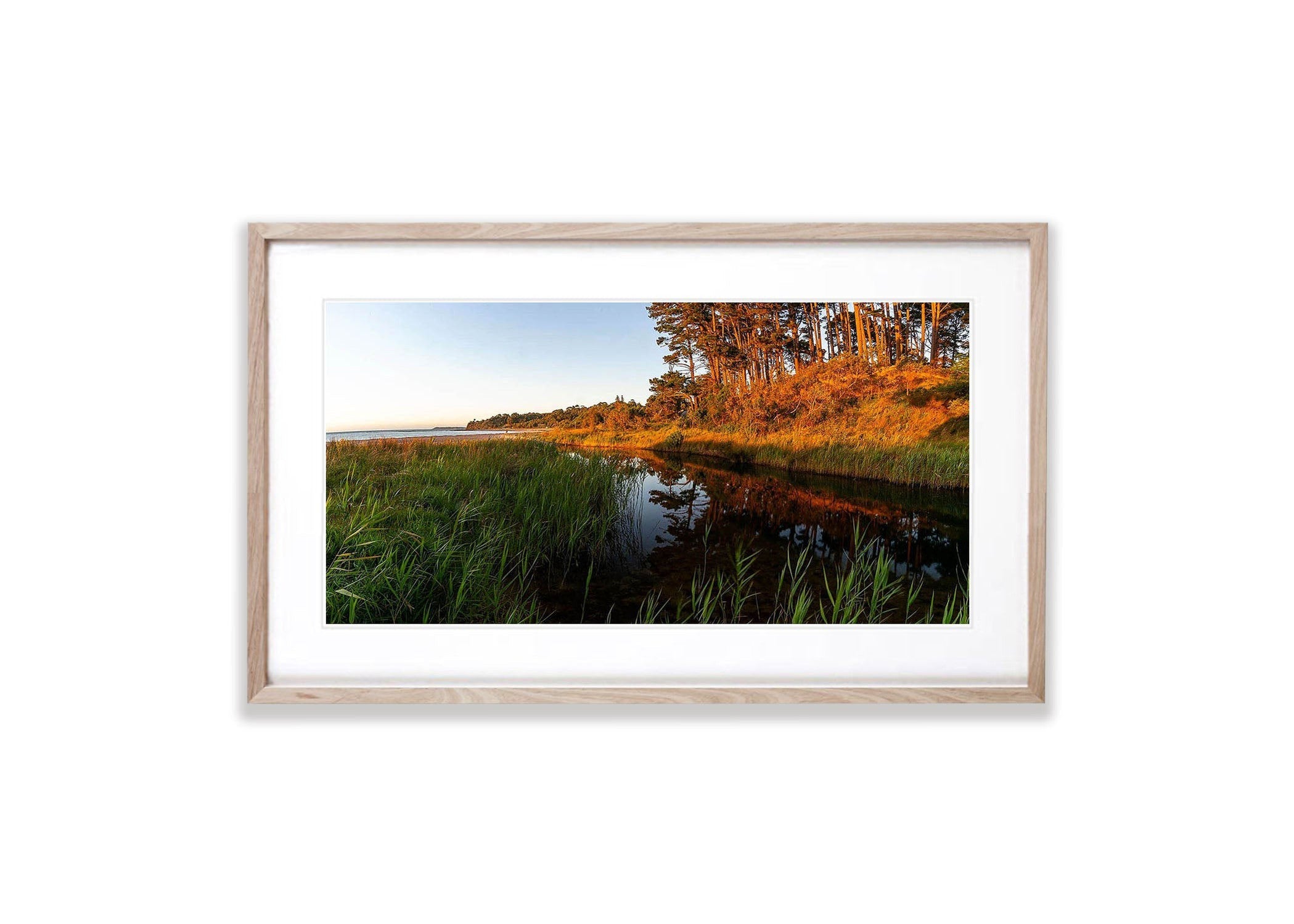 Stony Creek, Shoreham, Mornington Peninsula, VIC