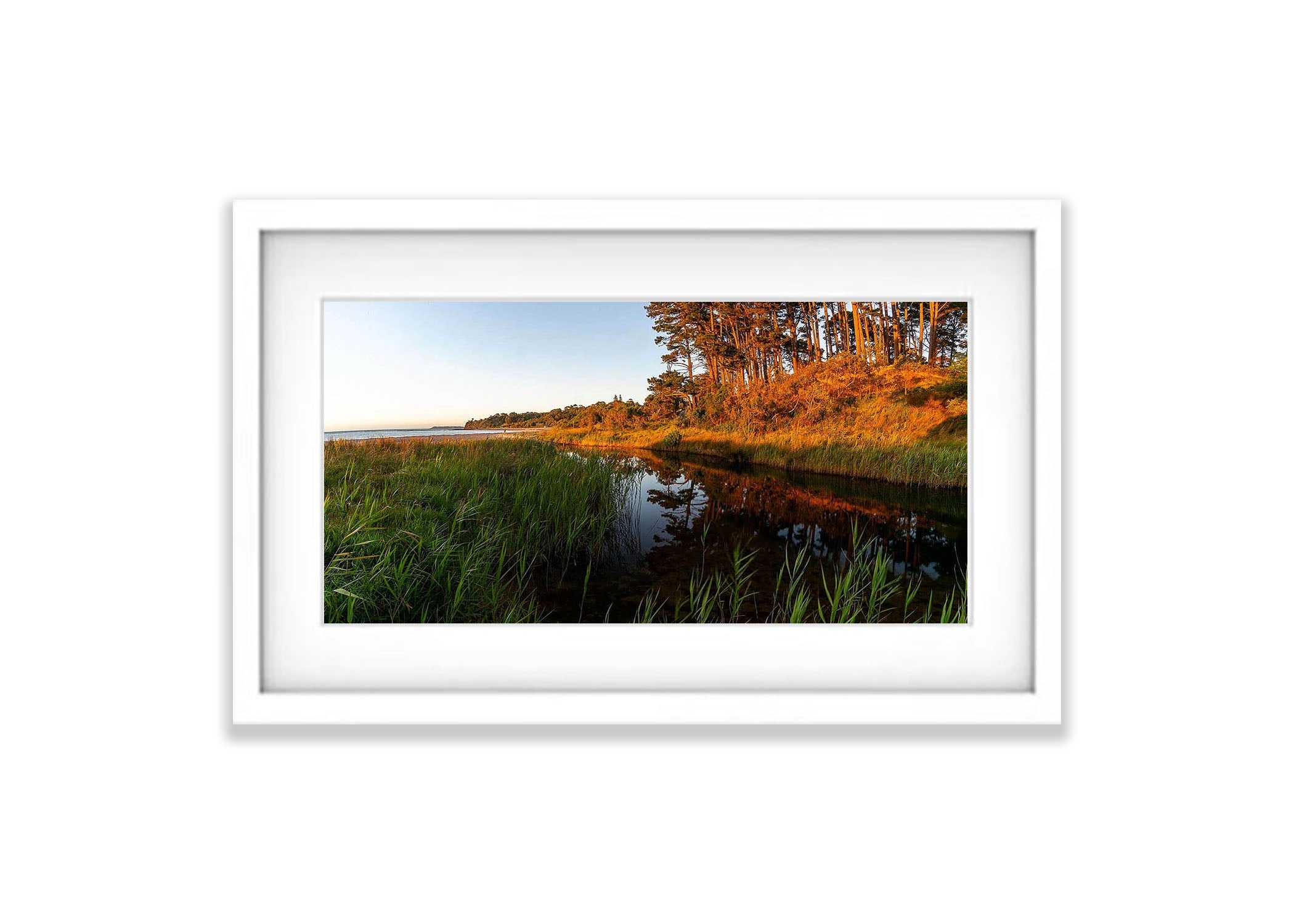 Stony Creek, Shoreham, Mornington Peninsula, VIC