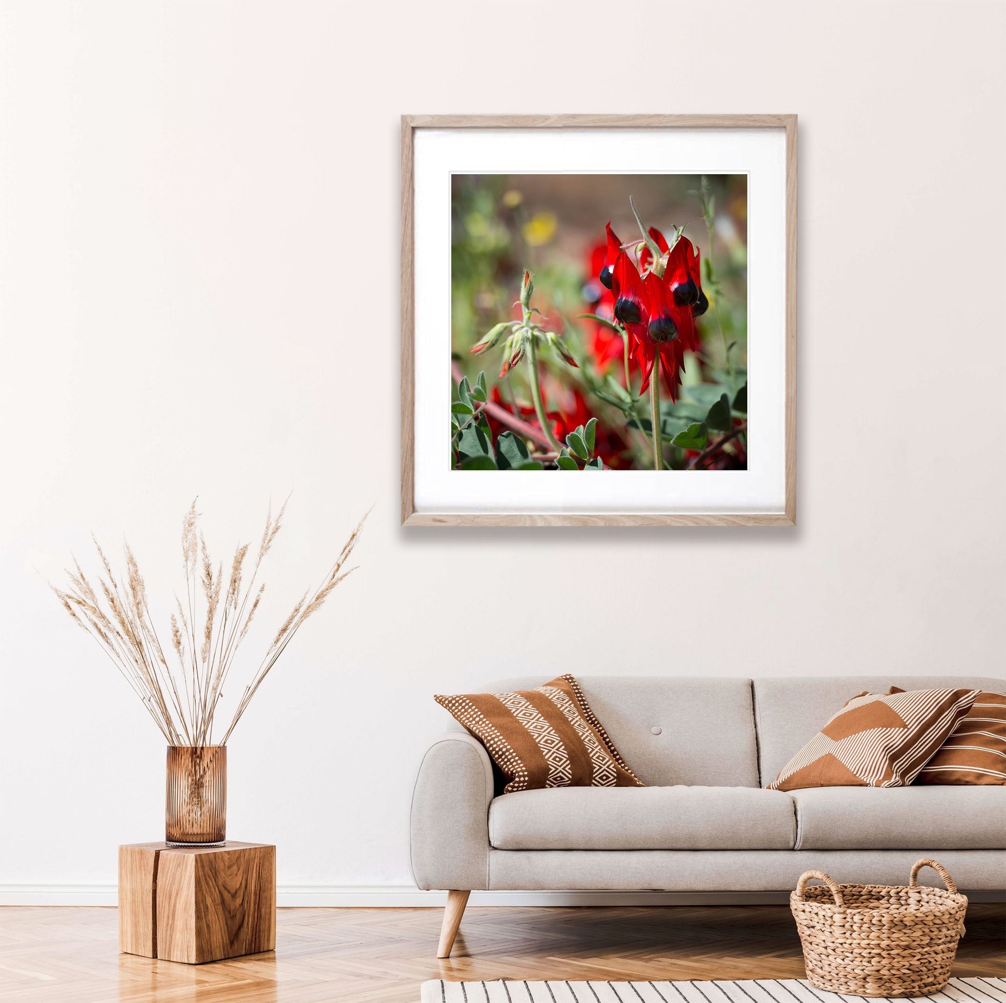 Sturt Desert Pea - Red Centre NT