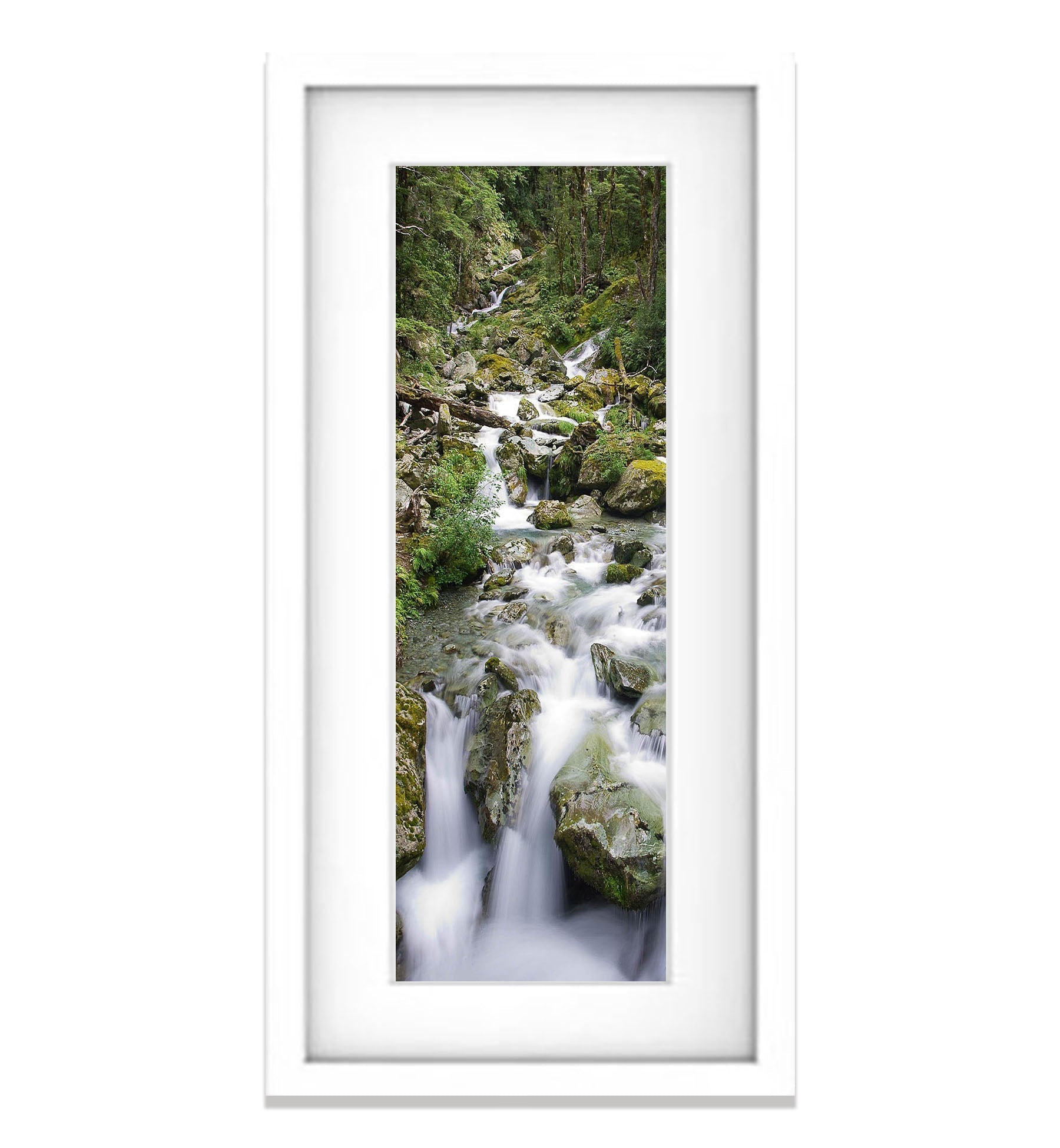 Sugar Loaf Stream, Routeburn Track - New Zealand