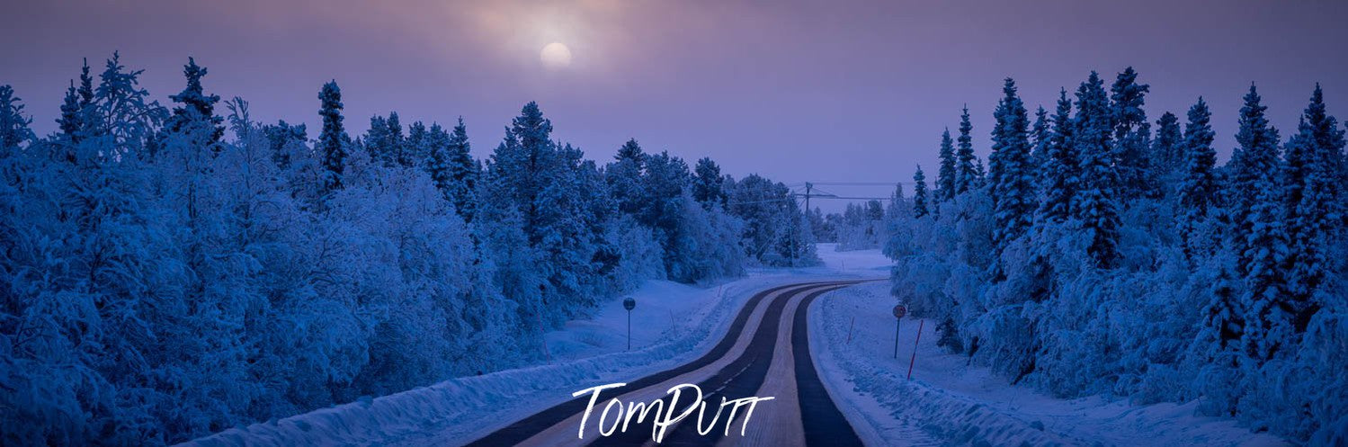A pathway between the forest with a lot of snow-covered trees, Sweden No.1