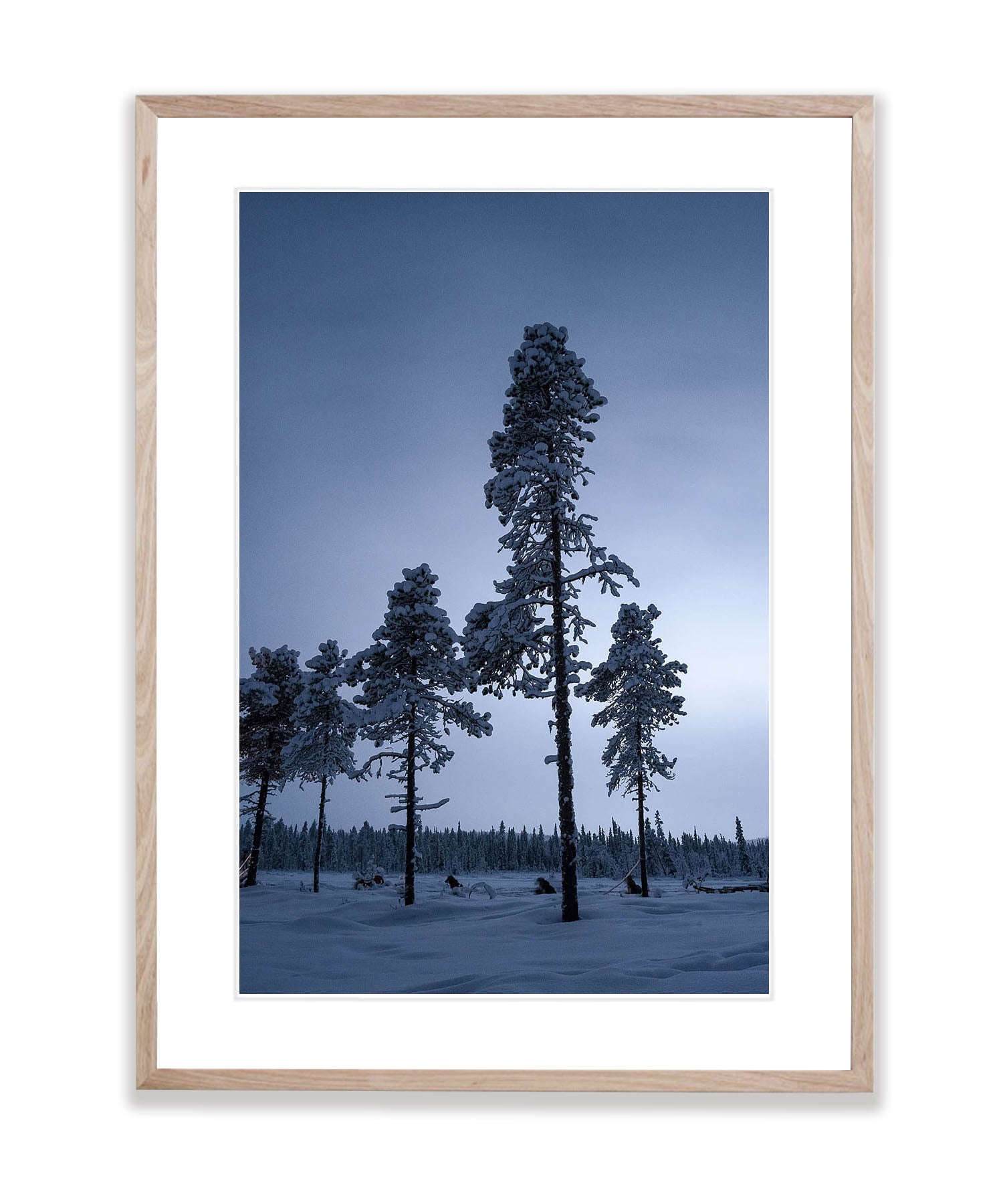 Silent Guardians, Sweden
