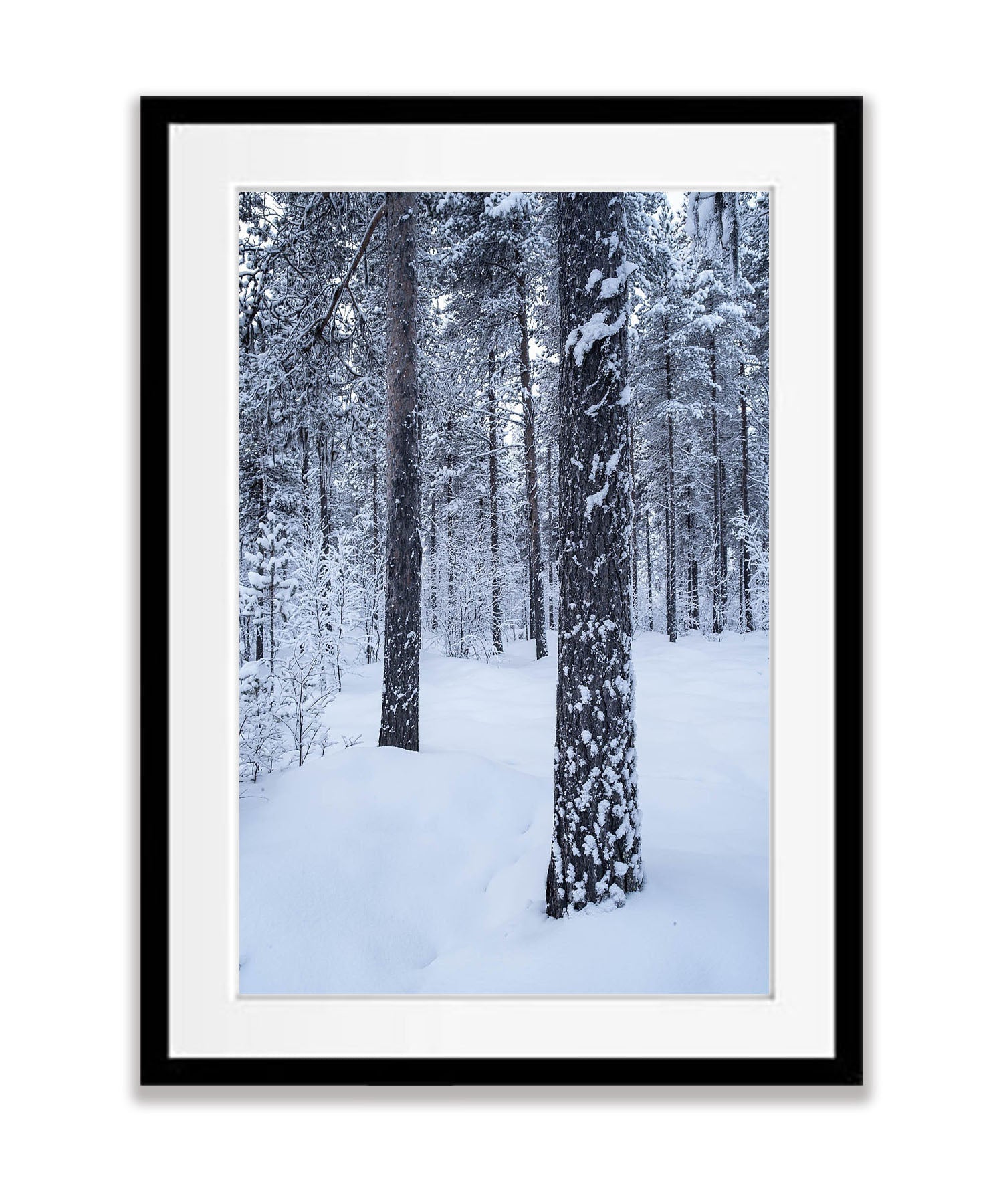 Winter Serenity, Sweden