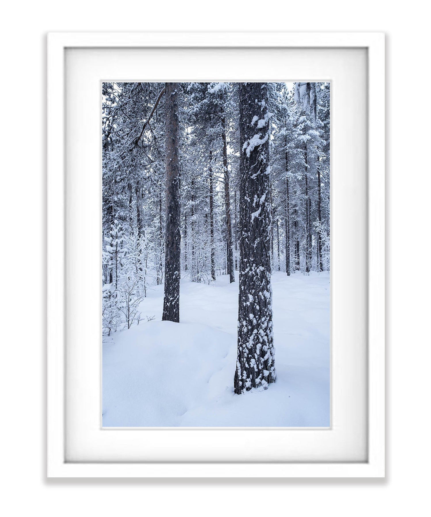 Winter Serenity, Sweden