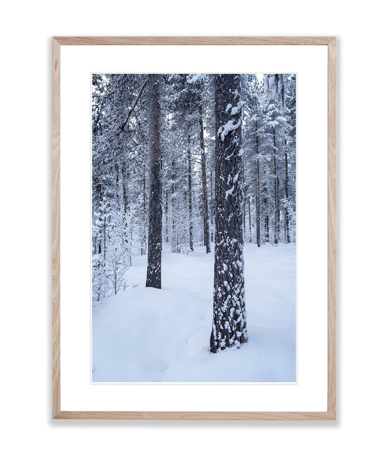 Winter Serenity, Sweden