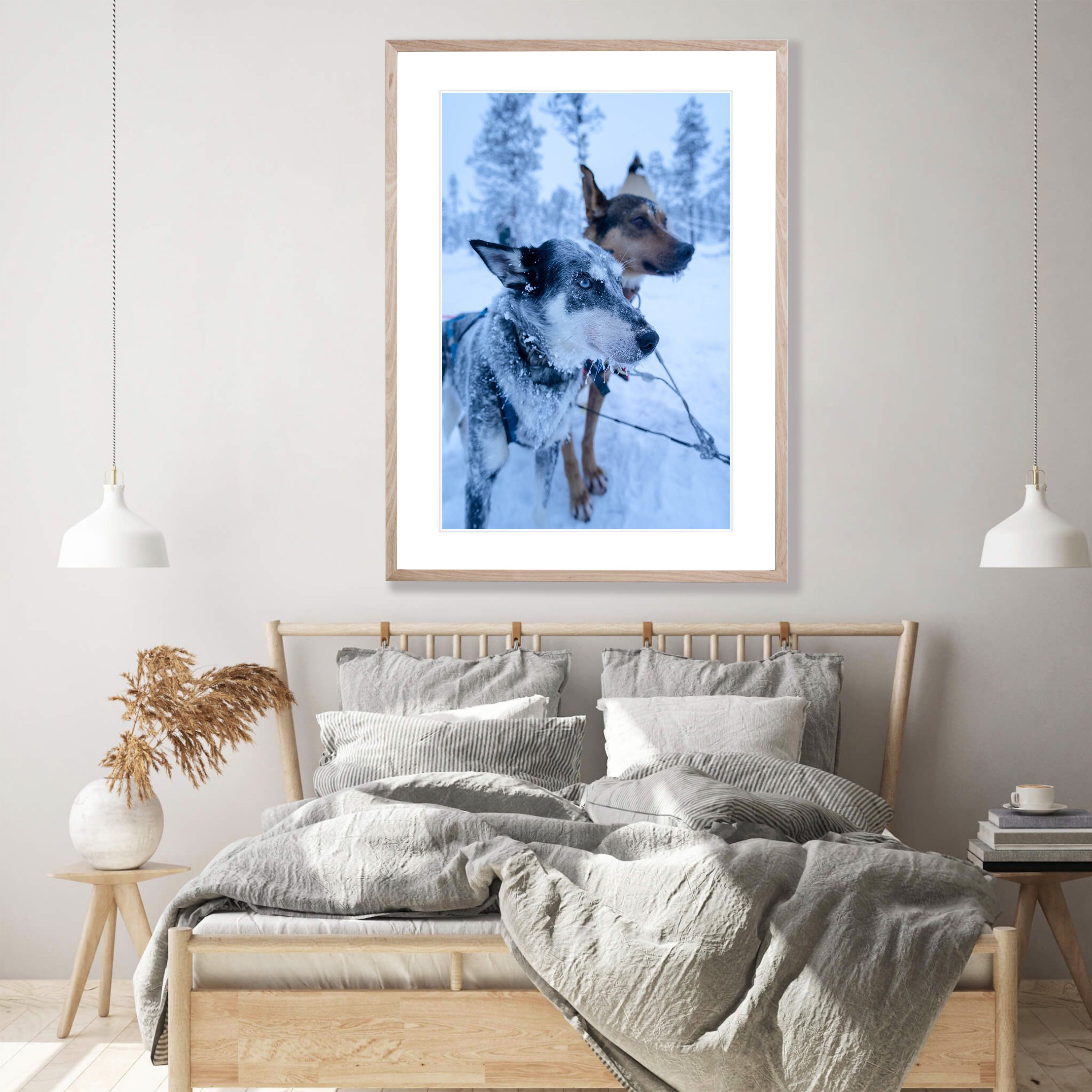Snow Dogs, Sweden