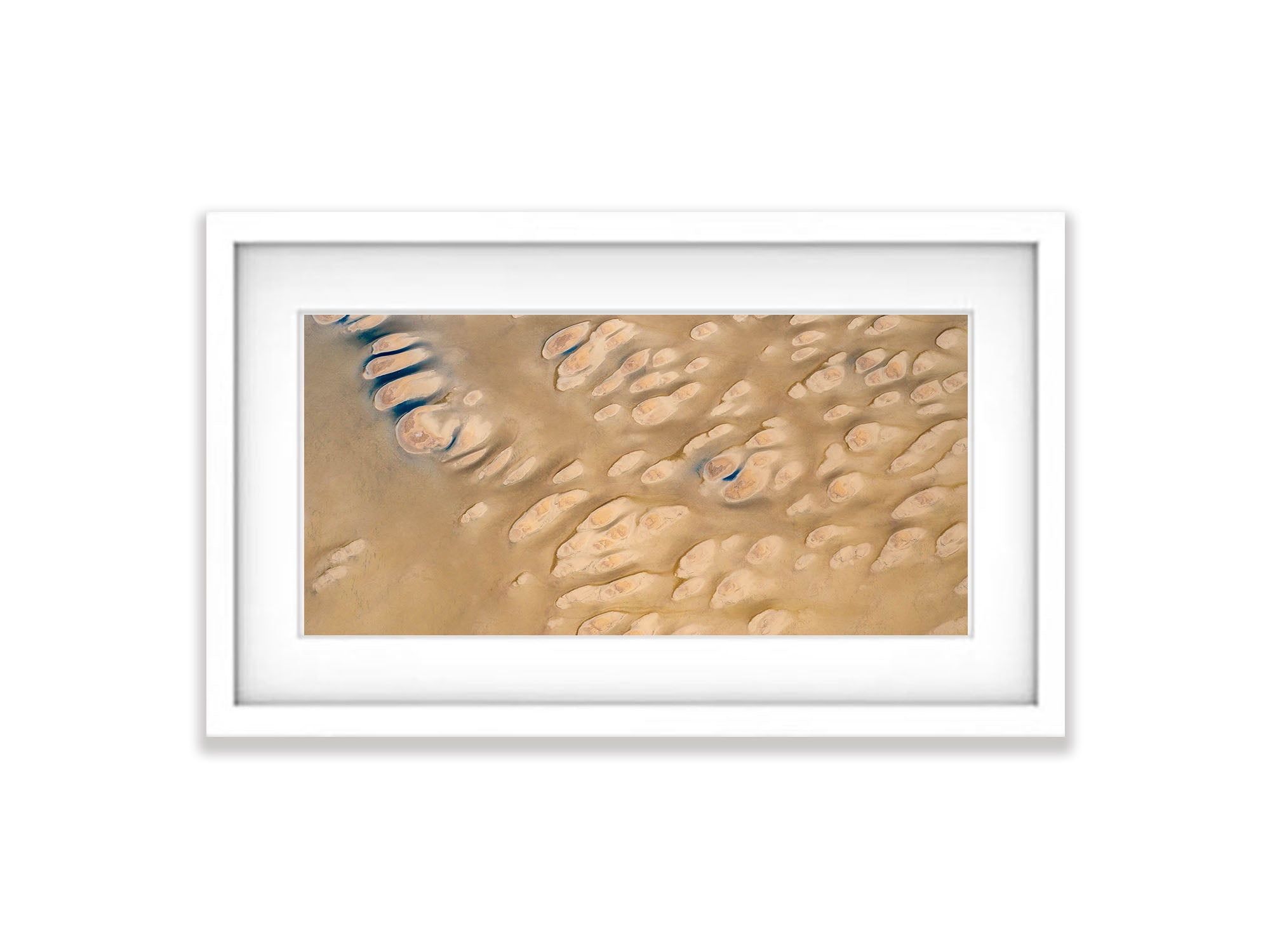 Tadpoles, Madigan Gulf