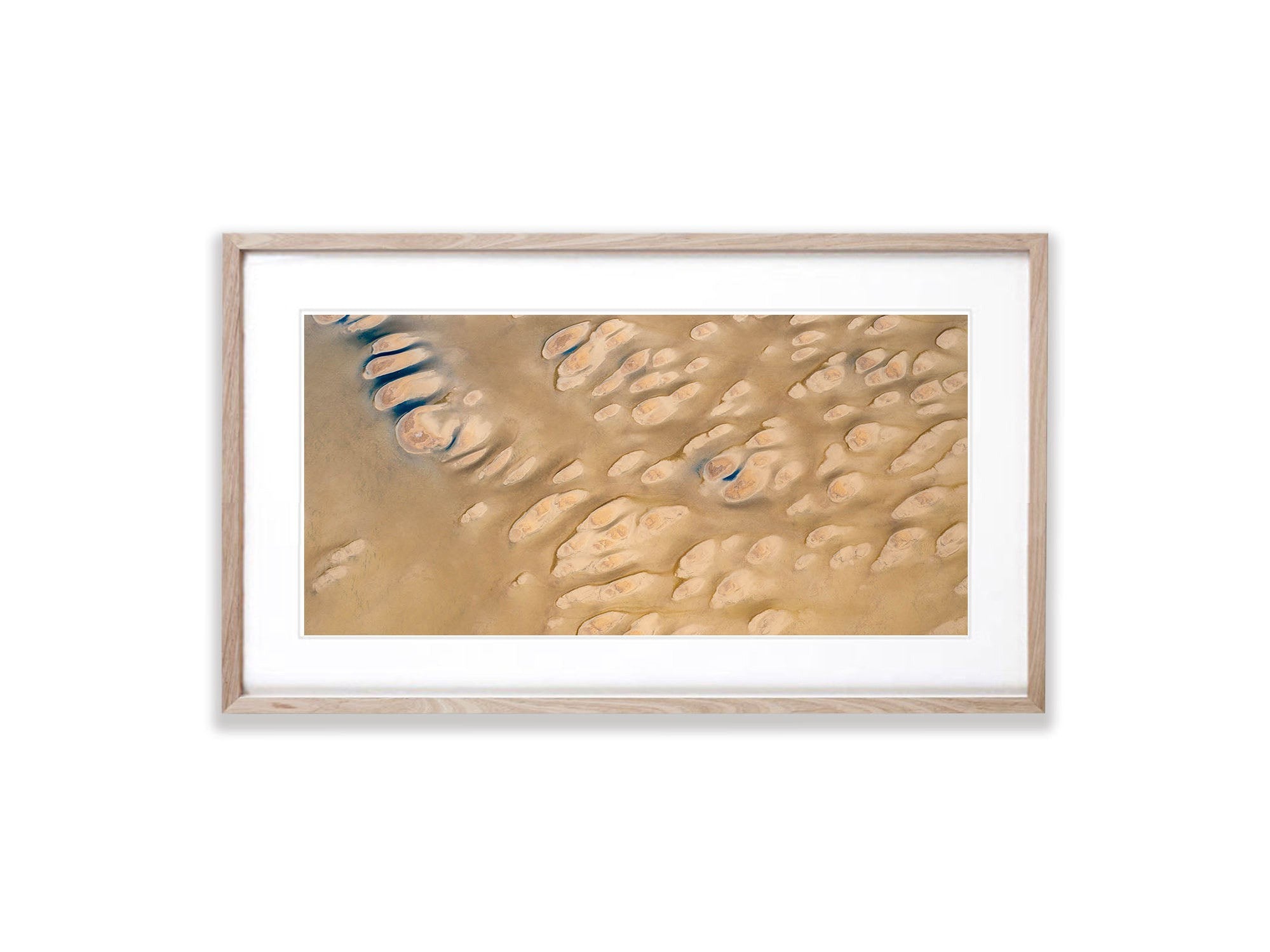 Tadpoles, Madigan Gulf, Lake Eyre, SA