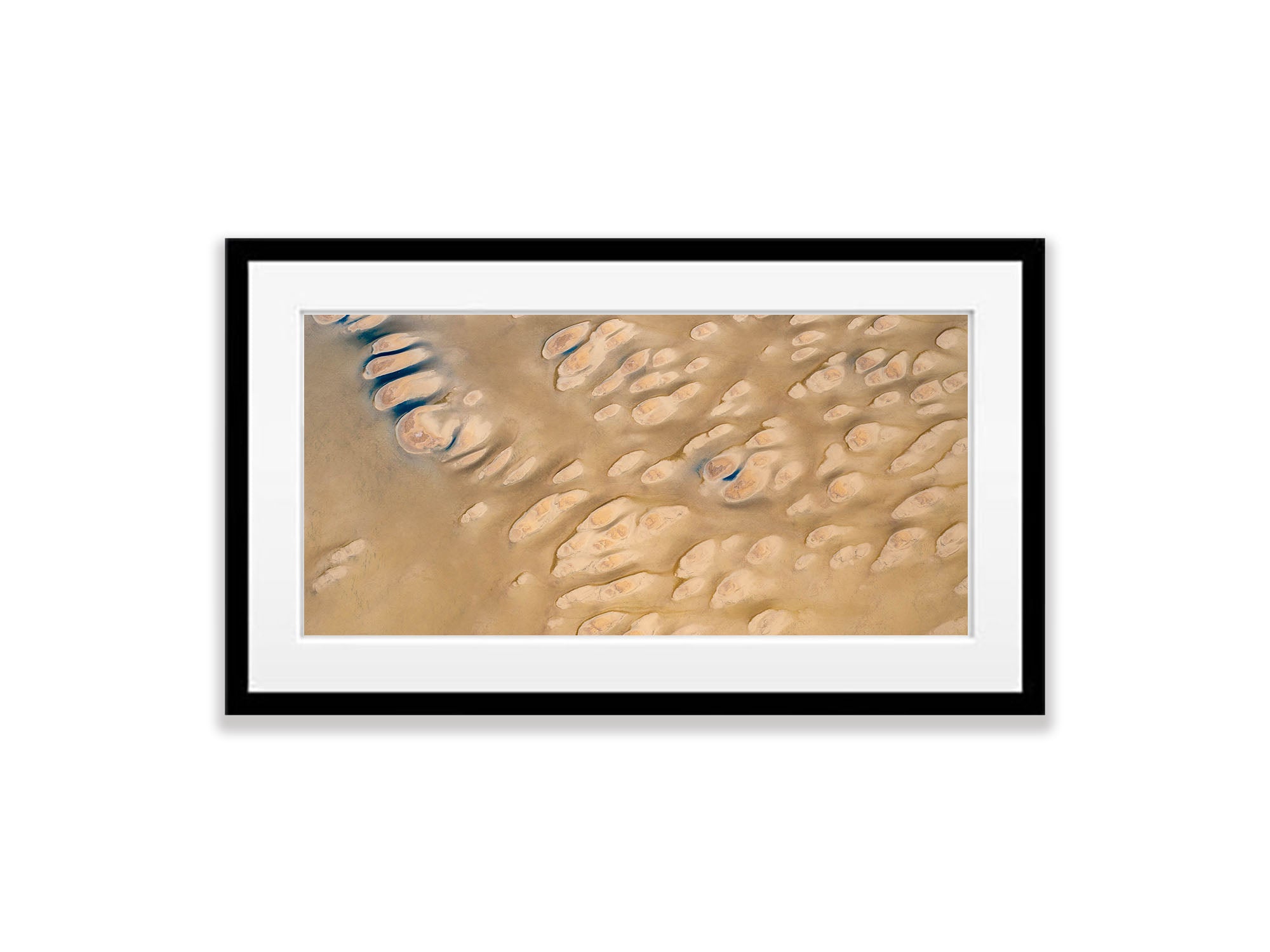 Tadpoles, Madigan Gulf
