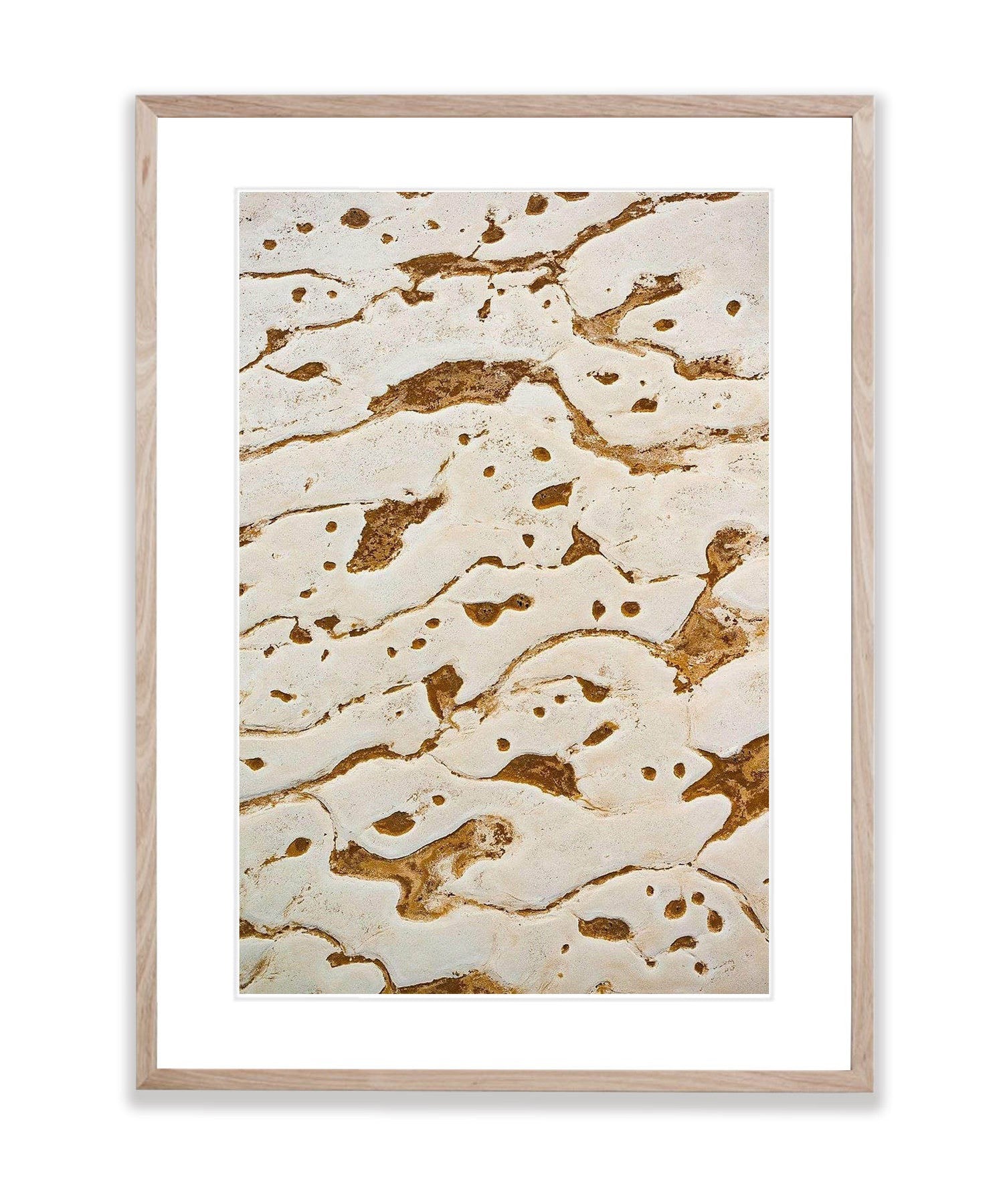 Tadpoles, Lake Eyre, SA