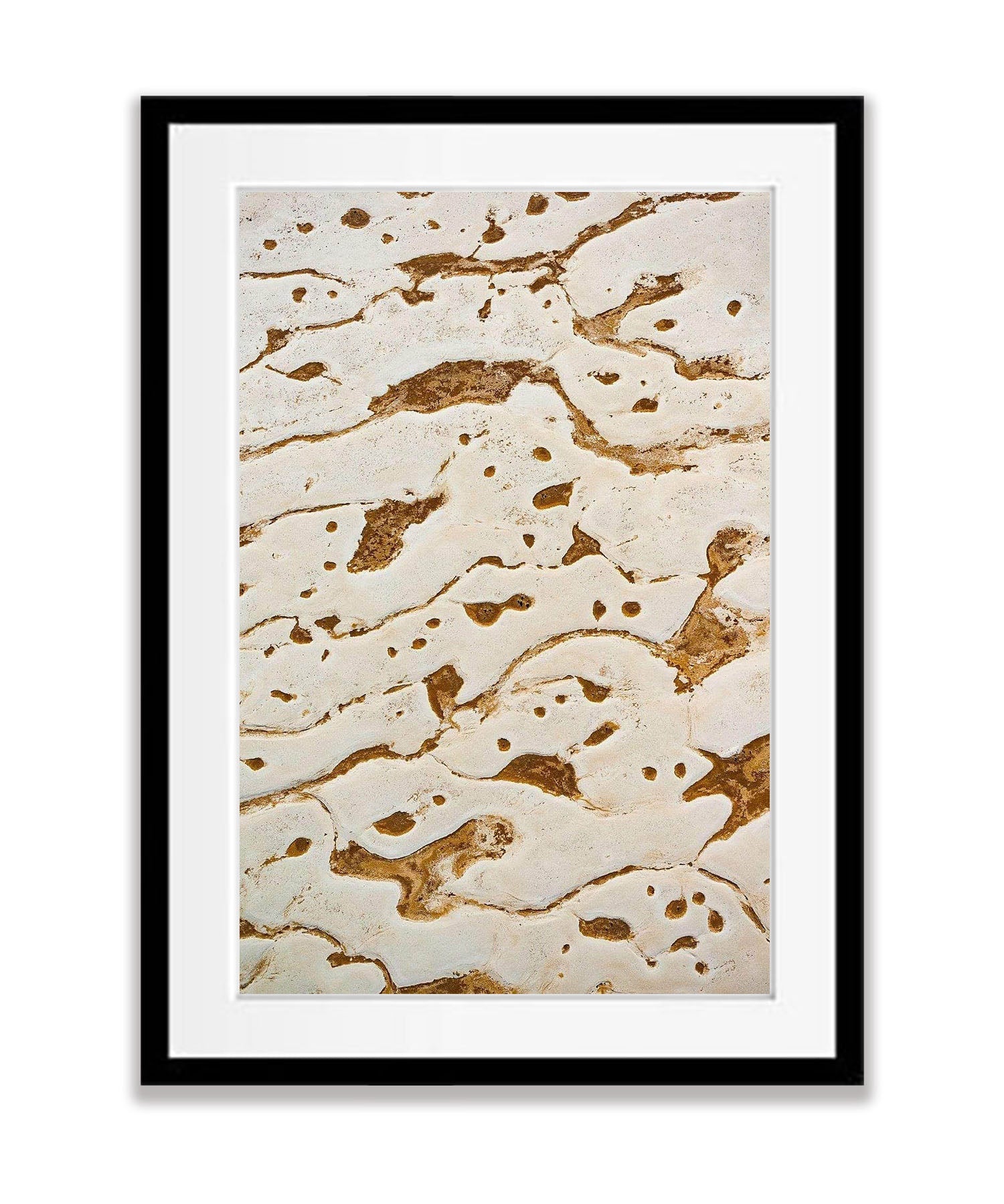Tadpoles