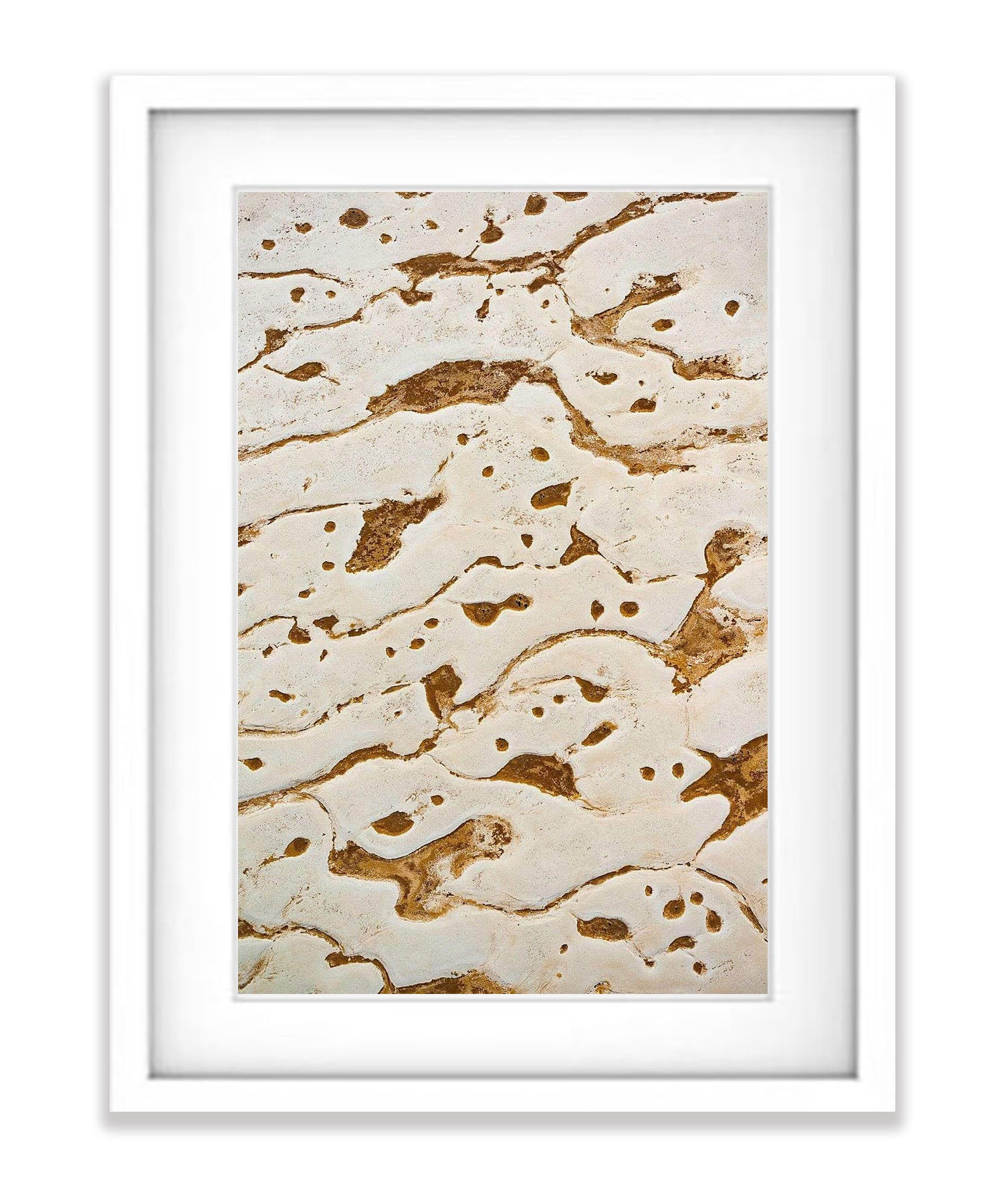 Tadpoles