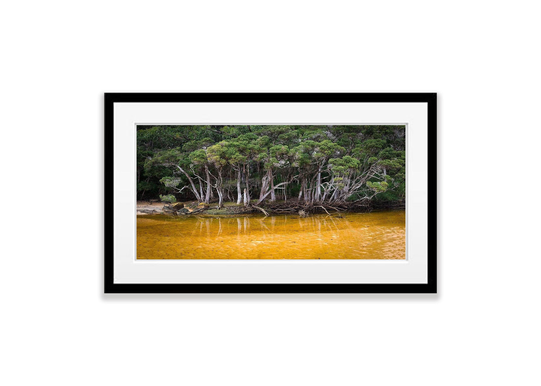 Tannin Creek - Wilson's Promontory VIC