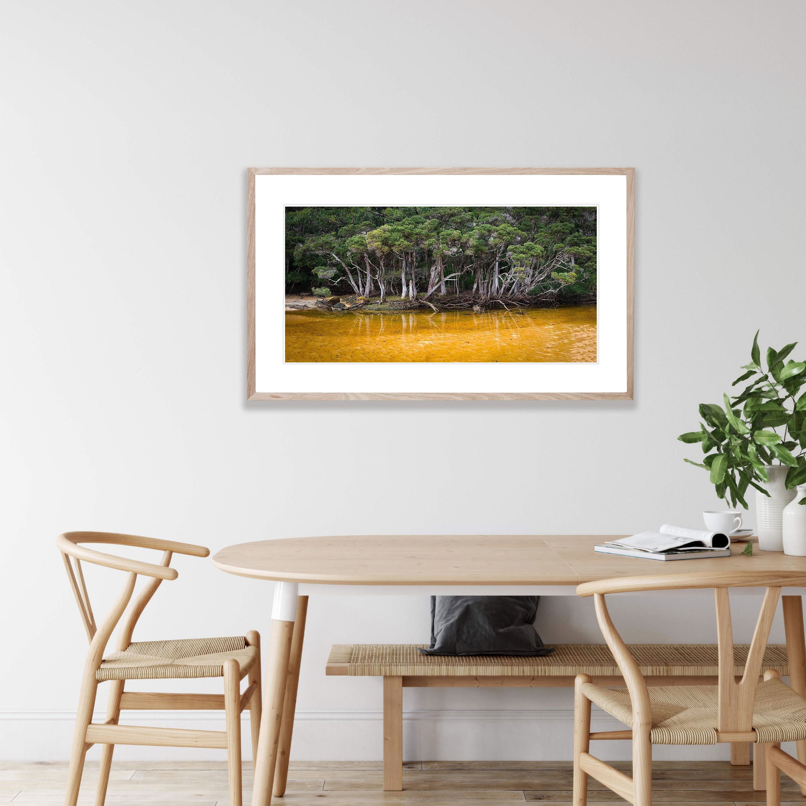 Tannin Creek - Wilson's Promontory VIC