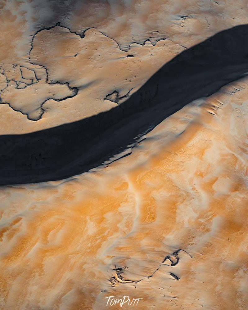 Tarkine #1-Tom-Putt-Landscape-Prints