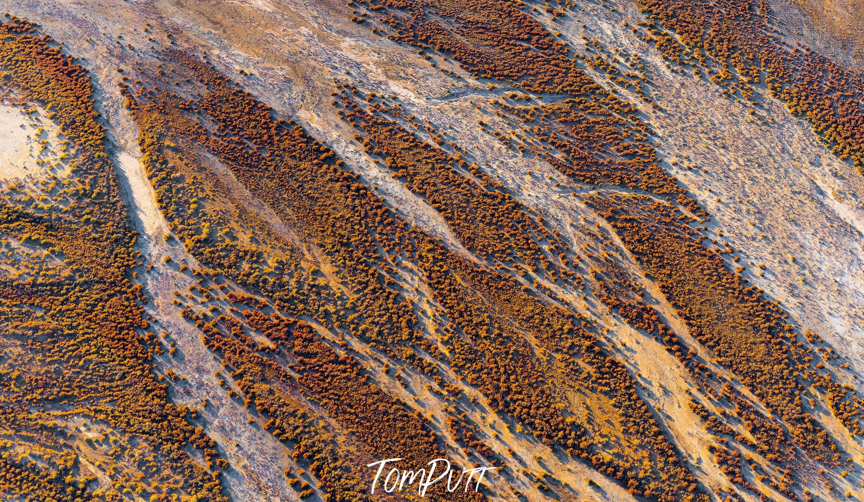 The Neales Delta No.3, Lake Eyre, SA