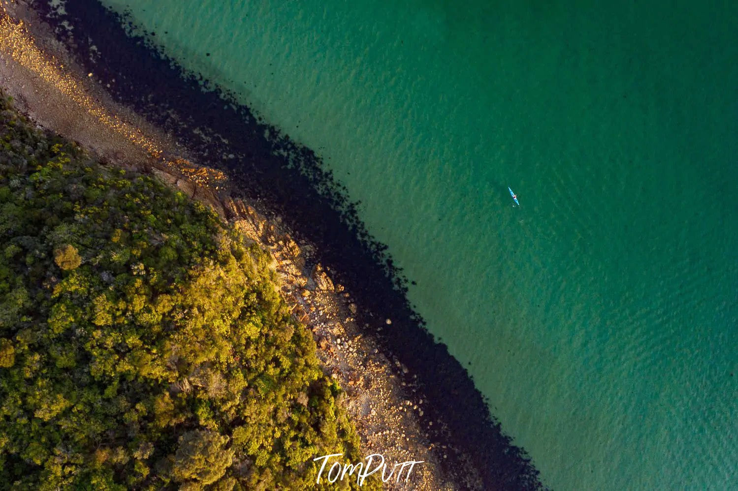 The Paddler, Mount Martha, Mornington Peninsula