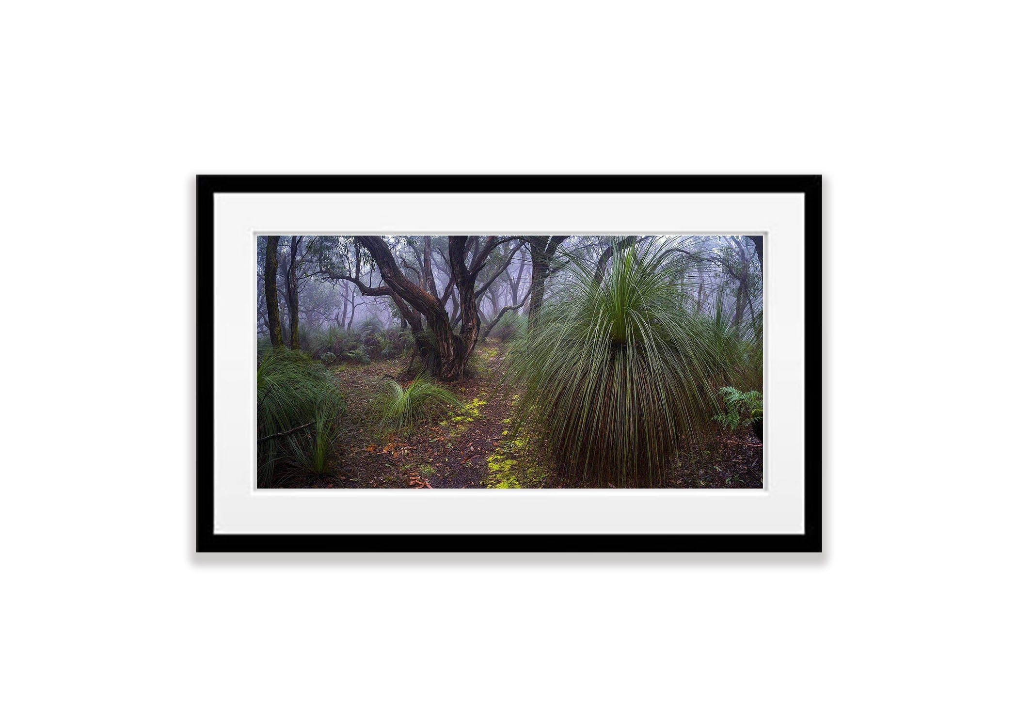 The Path, Green's Bush, Main Ridge