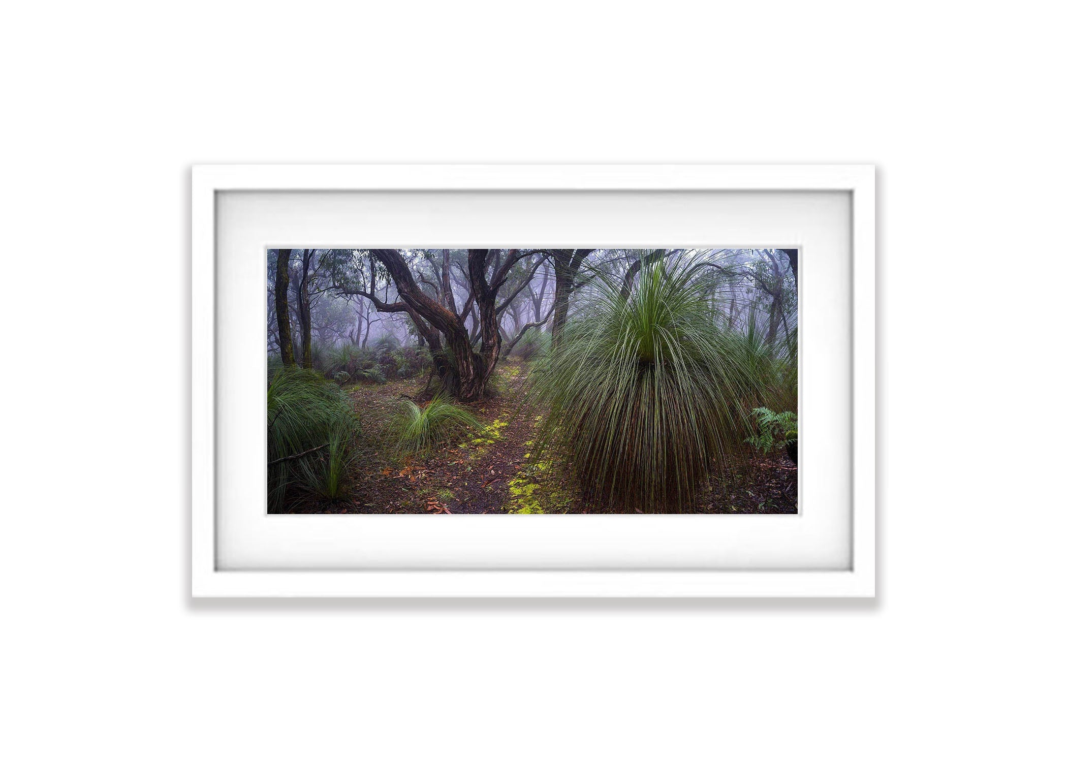 The Path, Green's Bush, Main Ridge