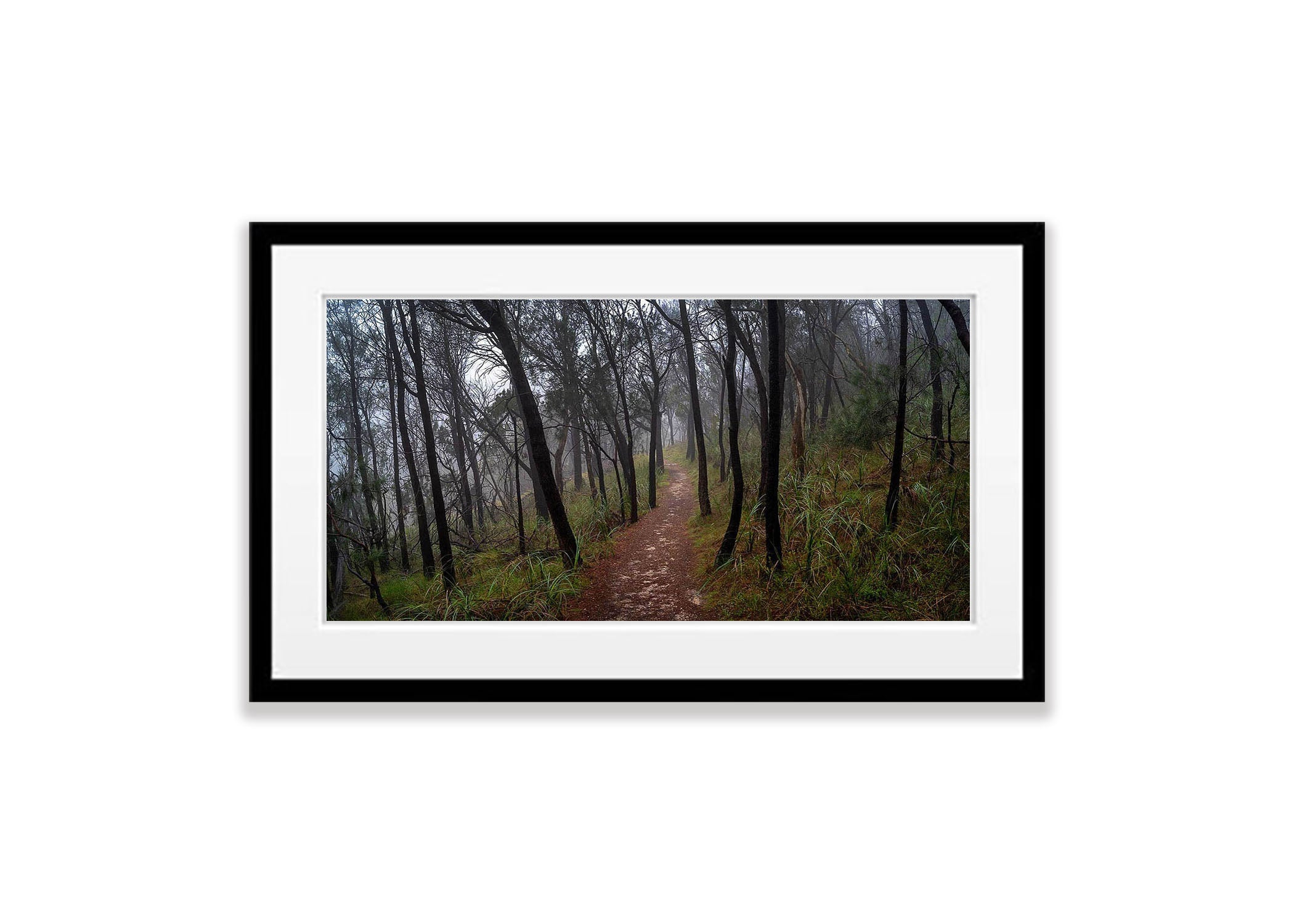 The Path to Kings Falls, Arthurs Seat - Mornington Peninsula, VIC
