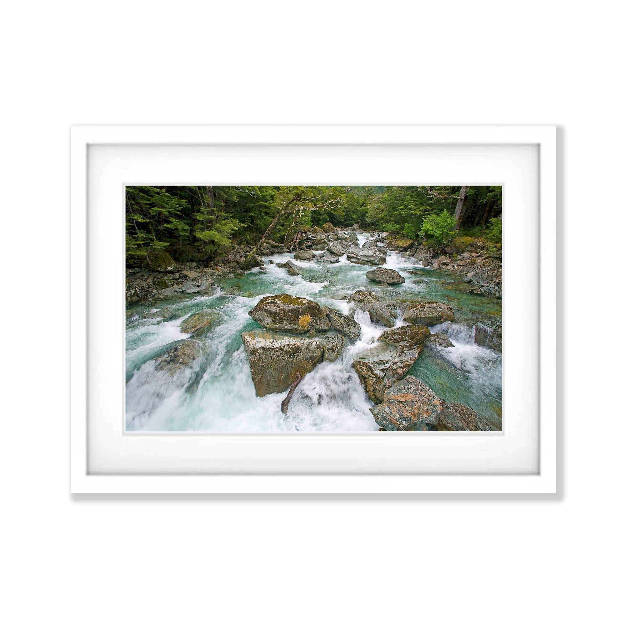 The Route Burn, Routeburn Track - New Zealand