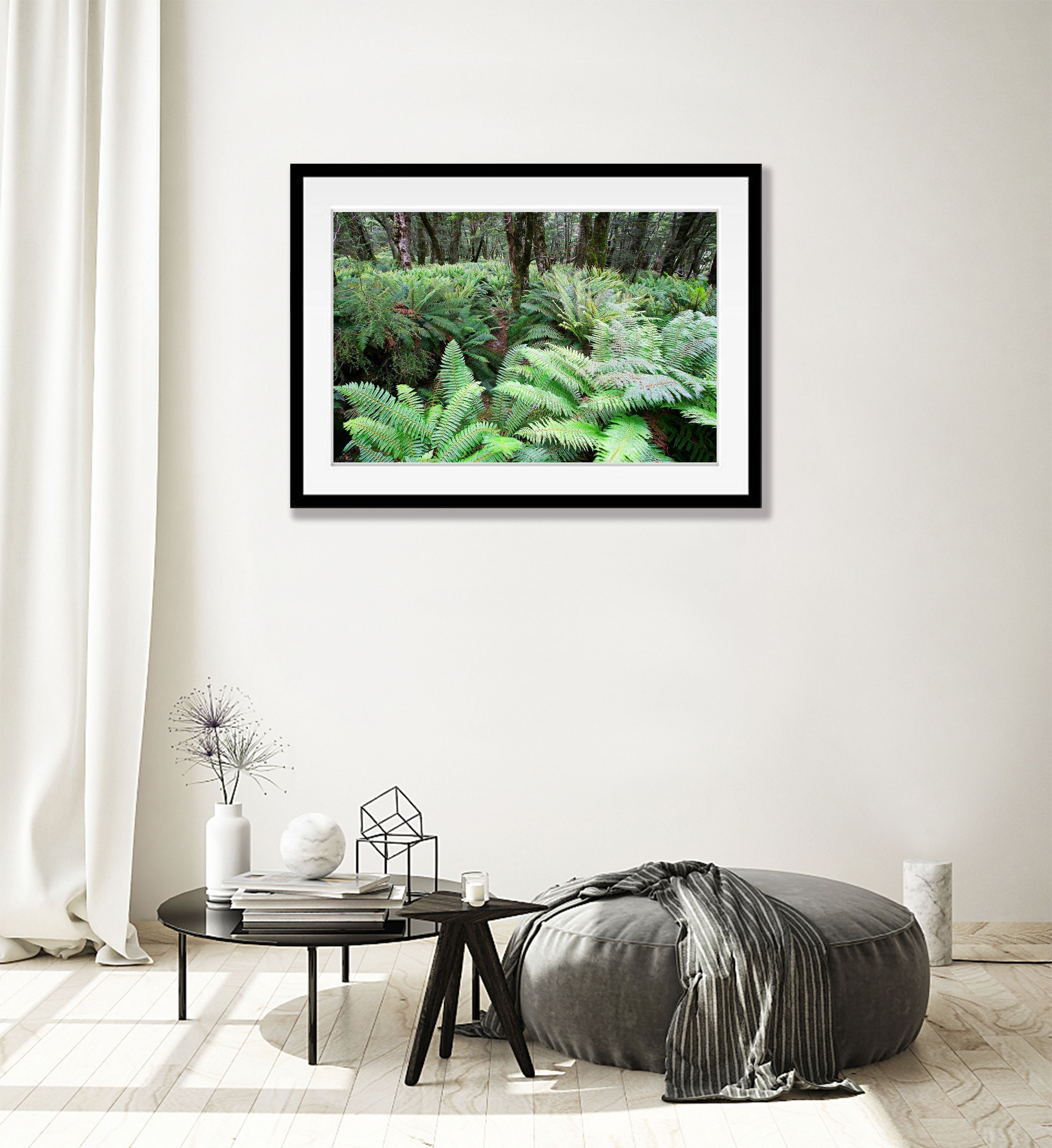 The Routeburn Fern Forests, Routeburn Track - New Zealand