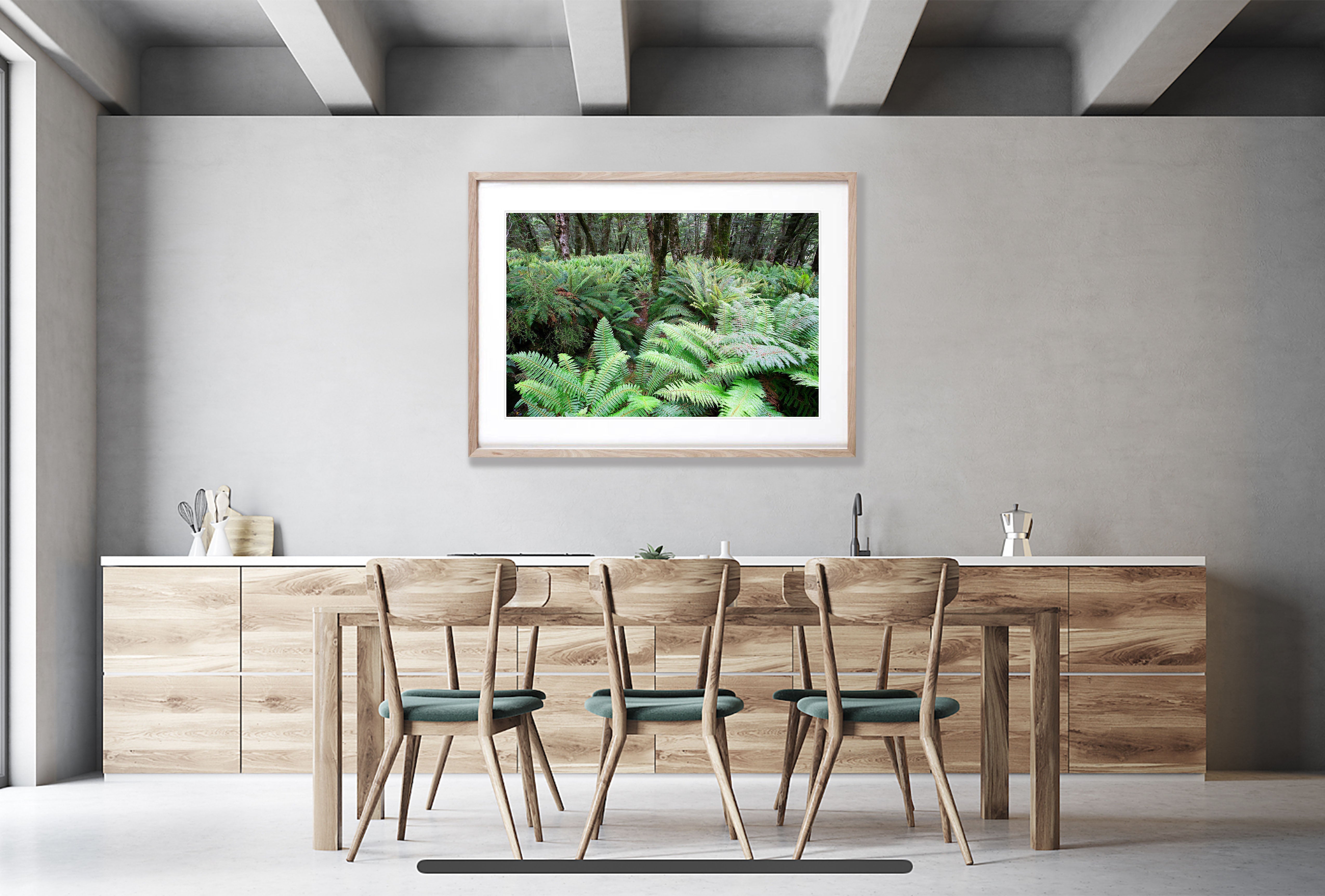 The Routeburn Fern Forests, Routeburn Track - New Zealand