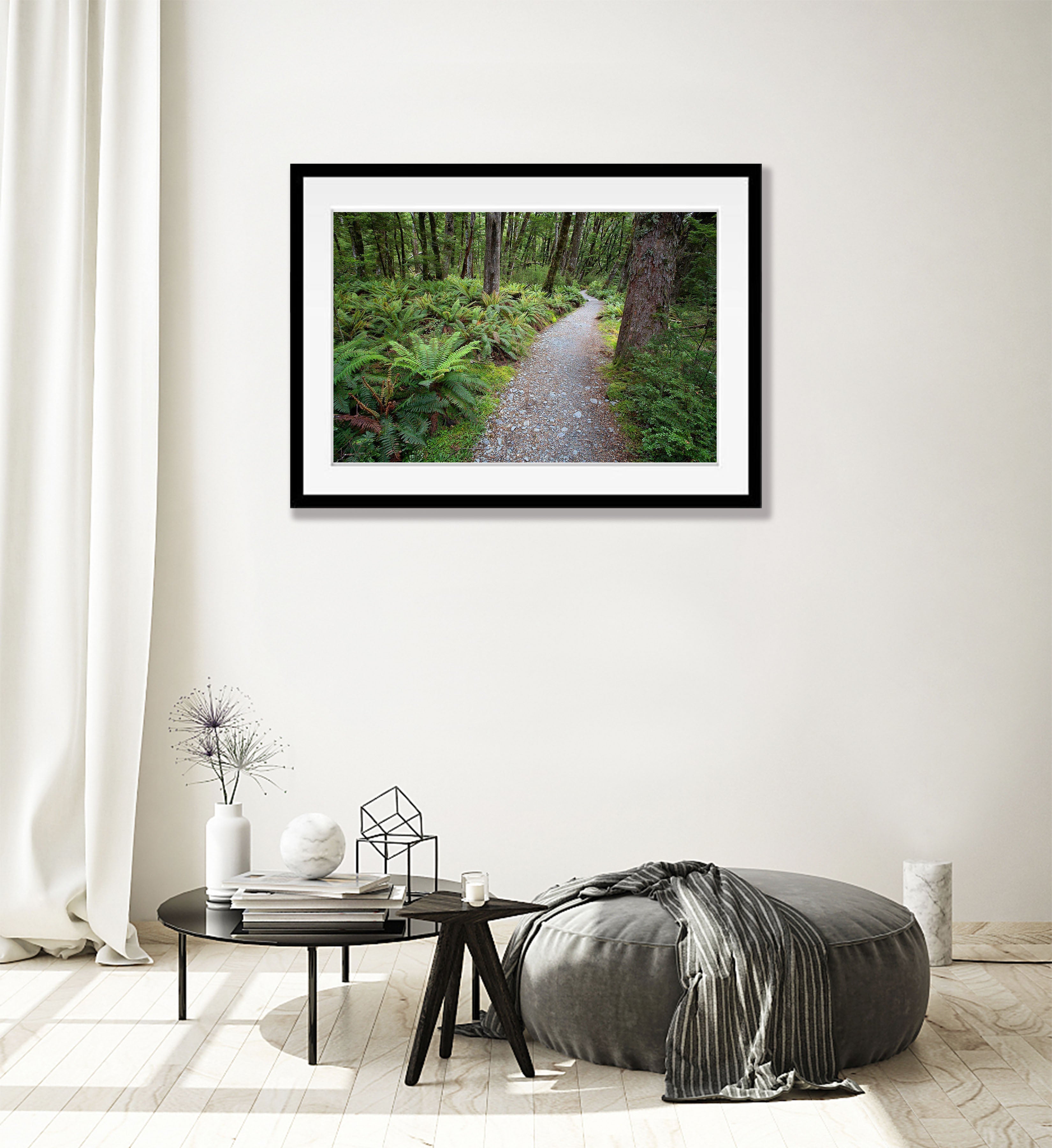 Serene Path, Routeburn Track, NZL