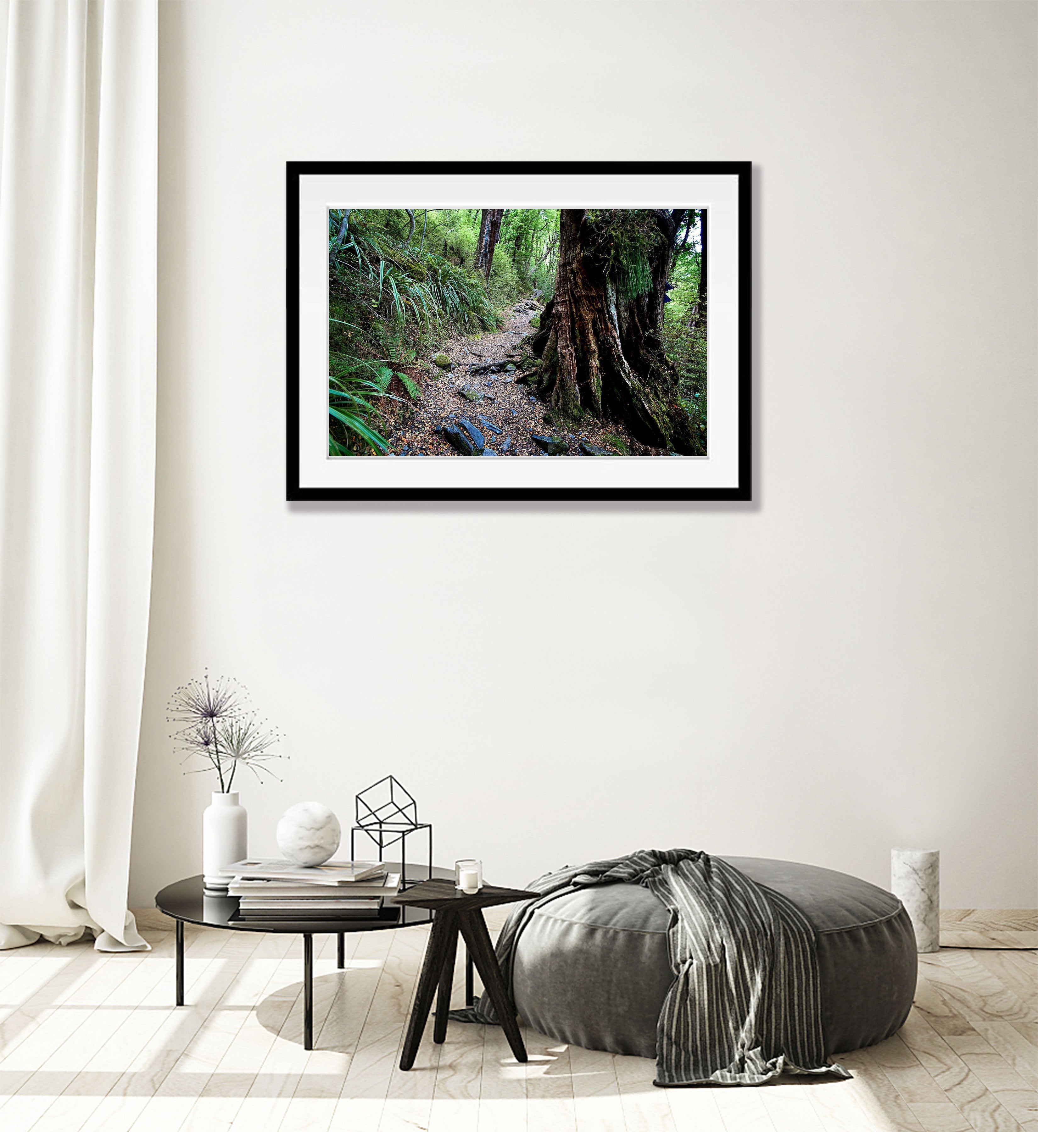 Timeless Journey, Routeburn Track, NZL