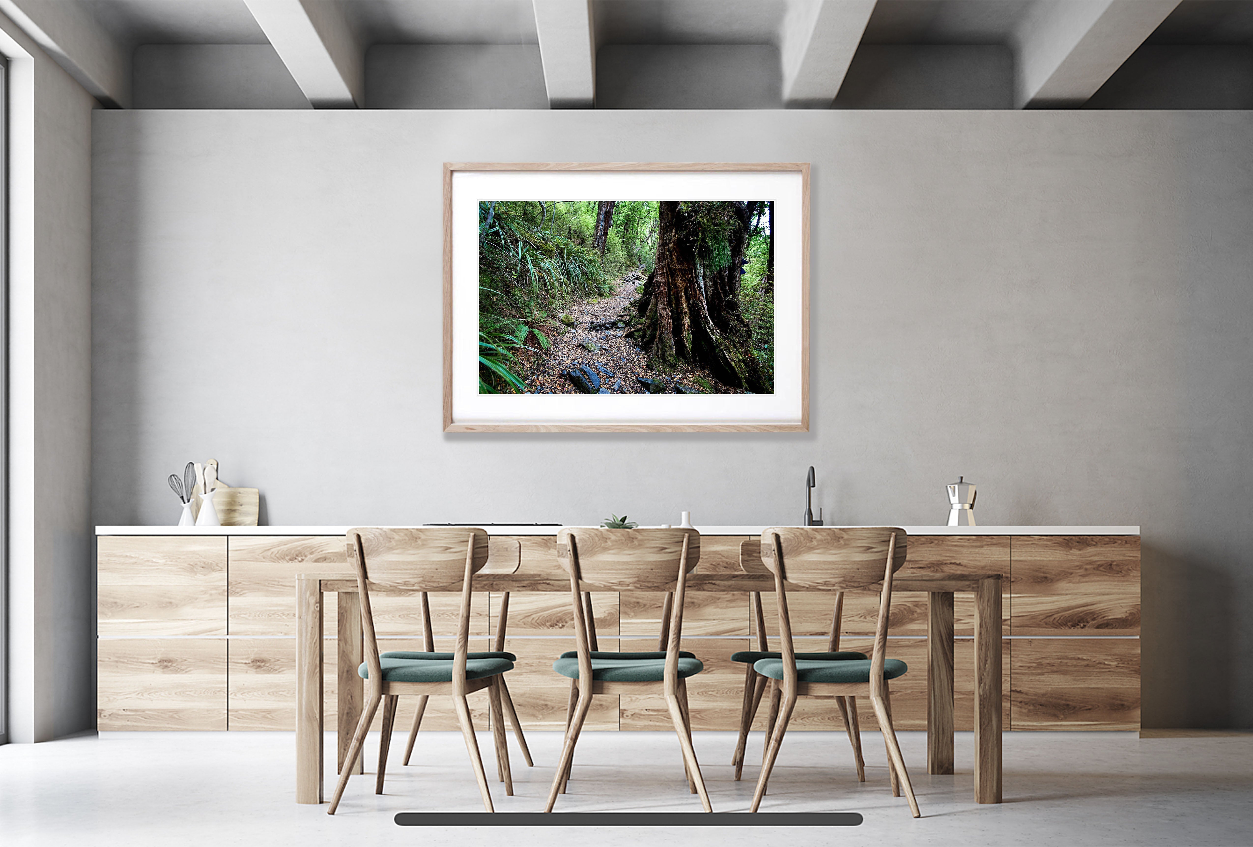 Timeless Journey, Routeburn Track, NZL