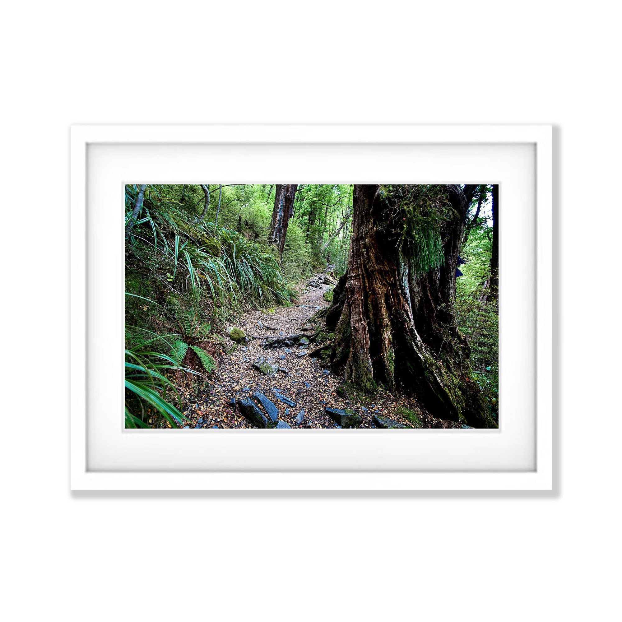 The Routeburn Track No.3 - New Zealand