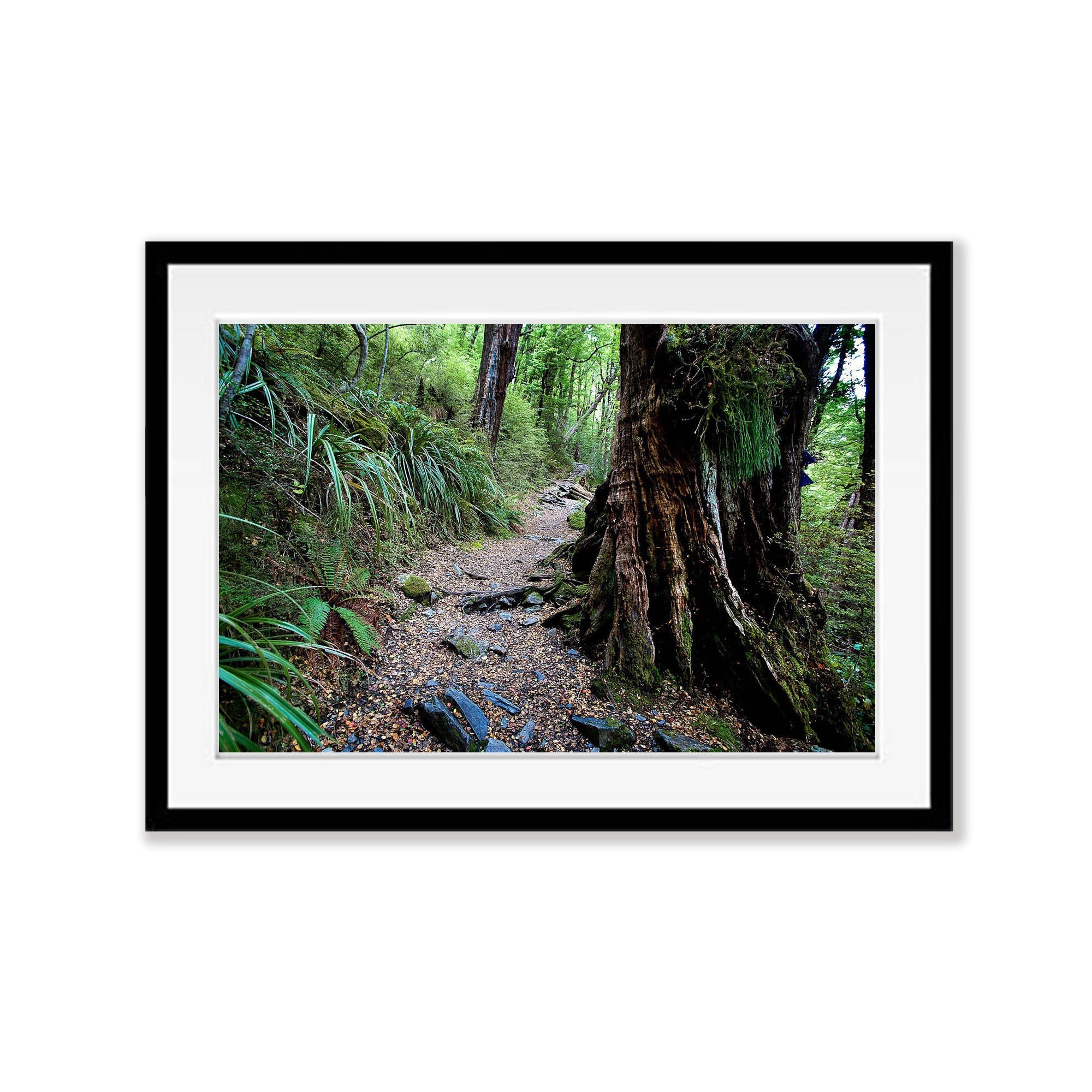 The Routeburn Track No.3 - New Zealand