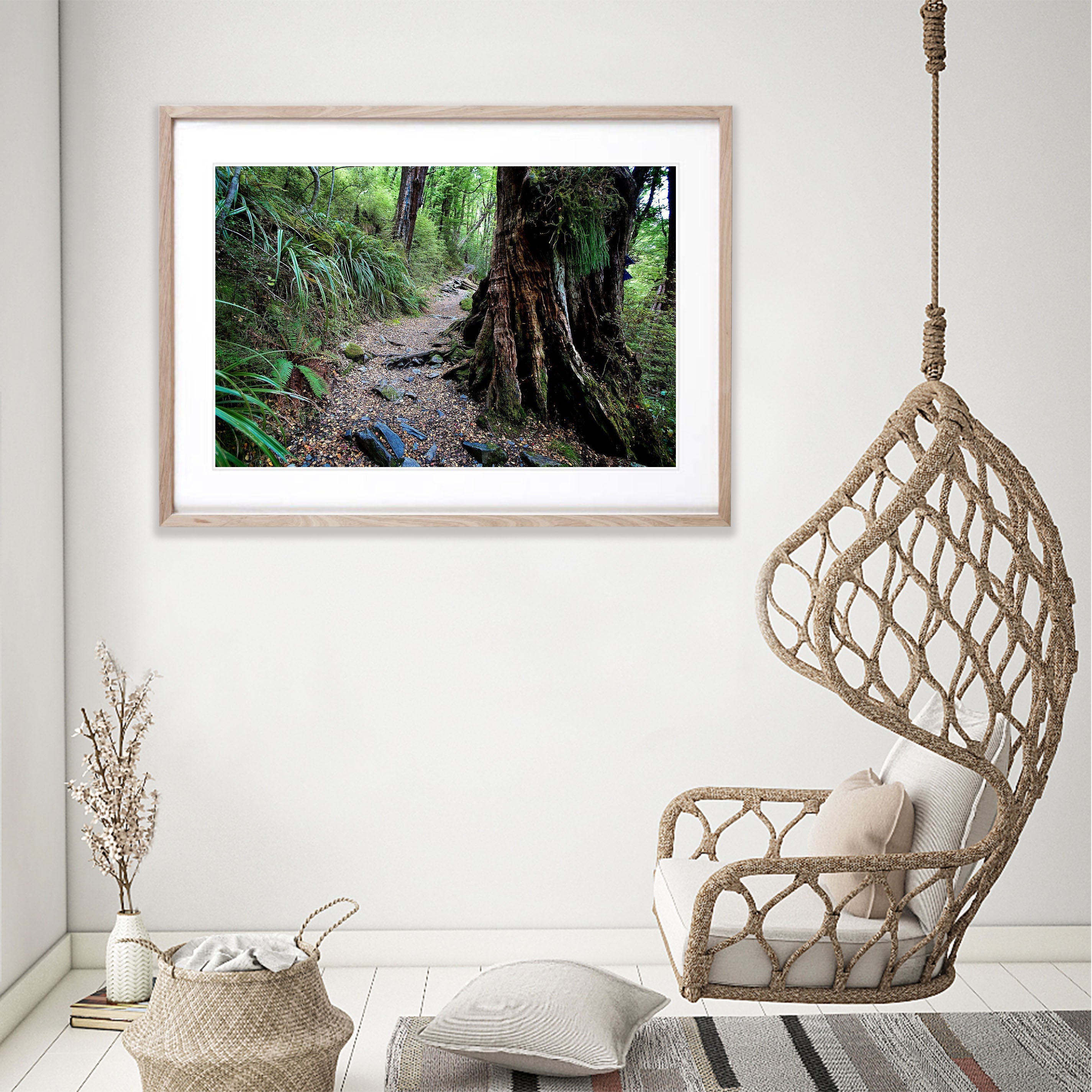 Timeless Journey, Routeburn Track, NZL